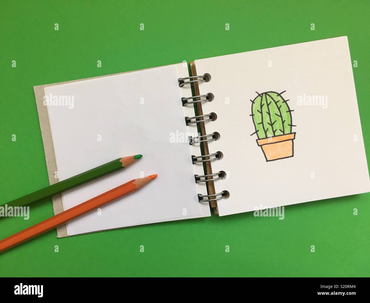 Simple drawing of a cactus Stock Photo