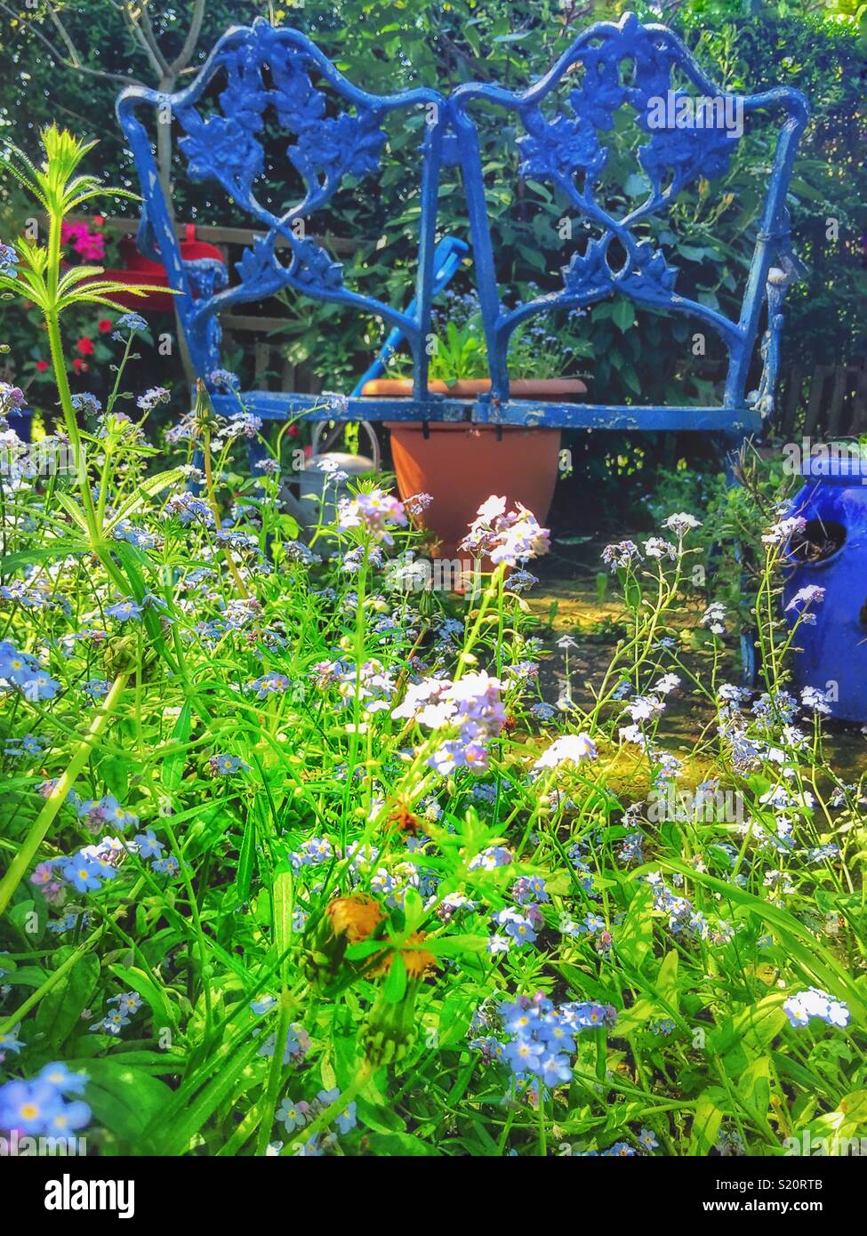 Garden chair - Smartphone Captured Stock Image