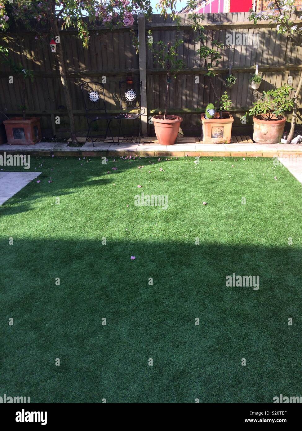 Astro Turf Garden >> Astroturf And Garden Stock Photos Astroturf And Garden Astro Turf Garden >> Astroturf And Garden Stock Photos Astroturf And Garden