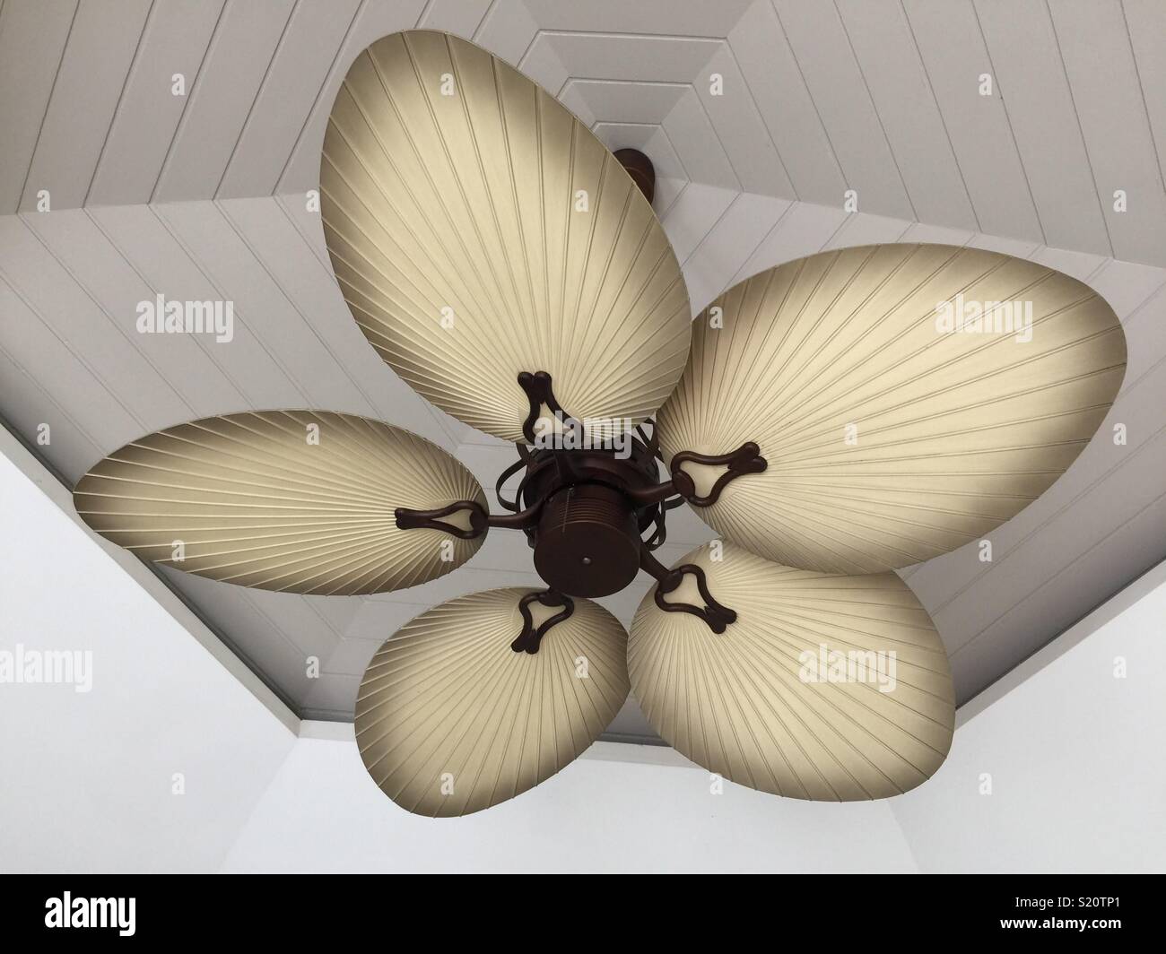 Ceiling Fan Stock Photo