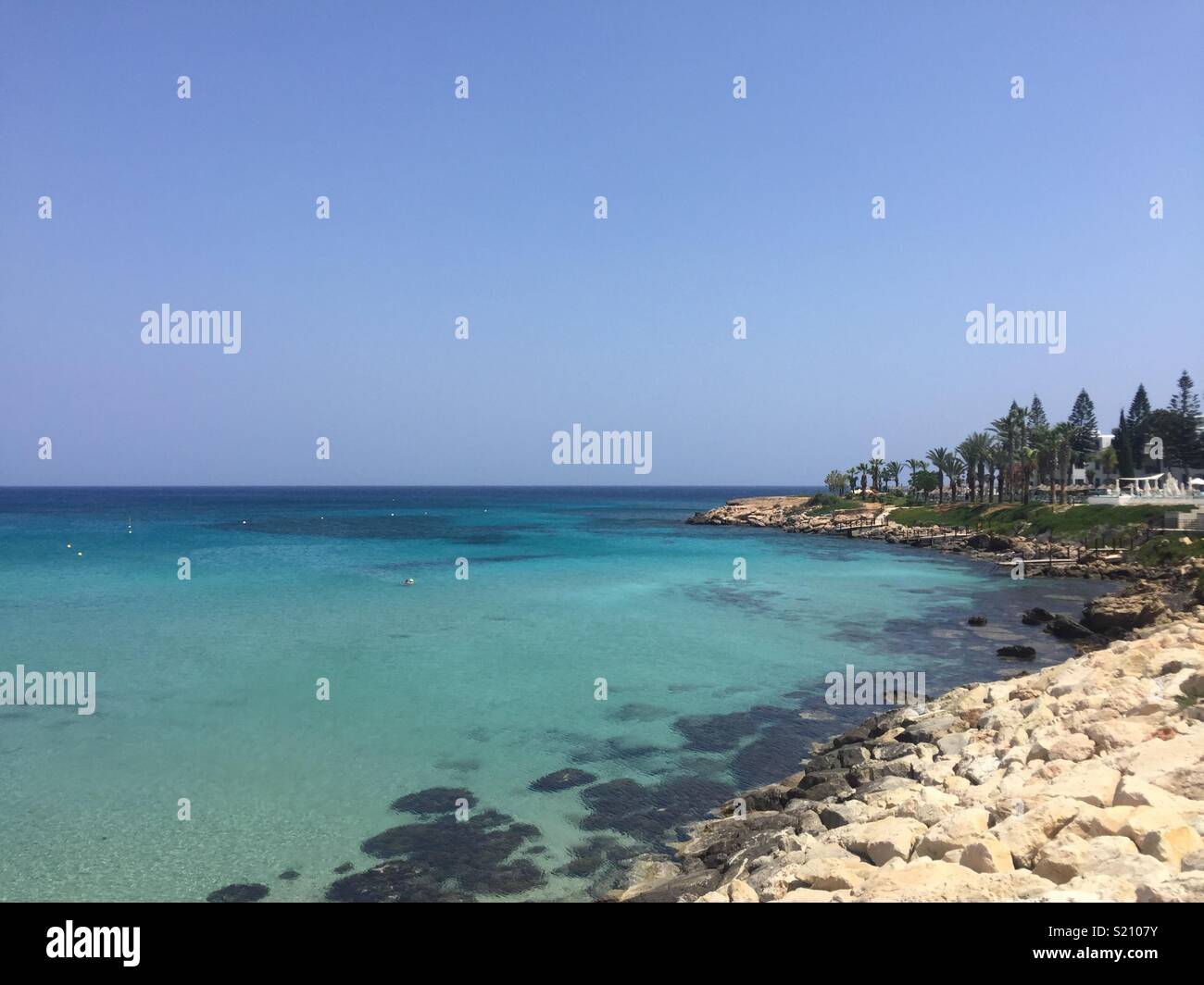 Fig tree bay Stock Photo Alamy