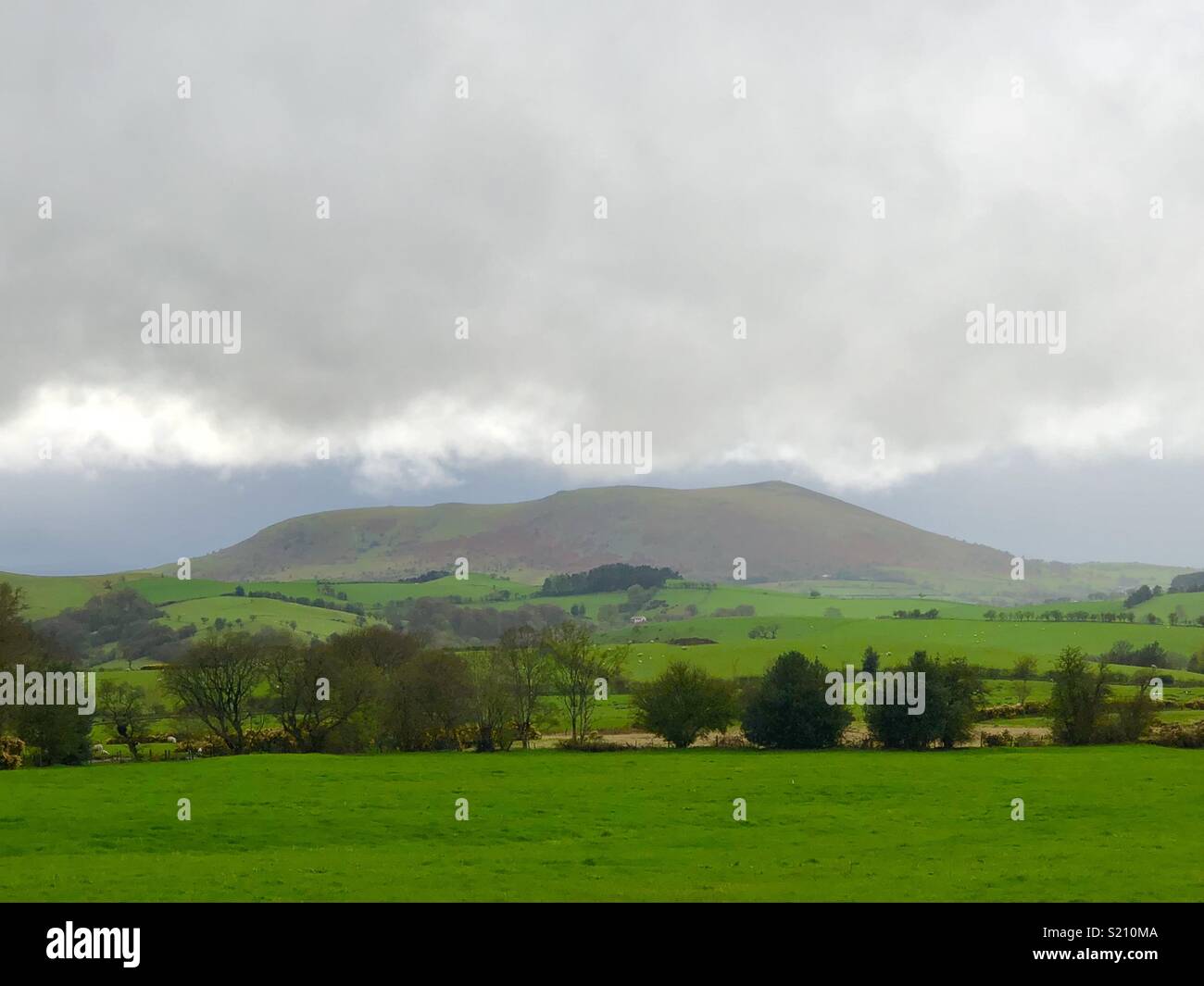 Corndon Hill Powys Wales Stock Photo