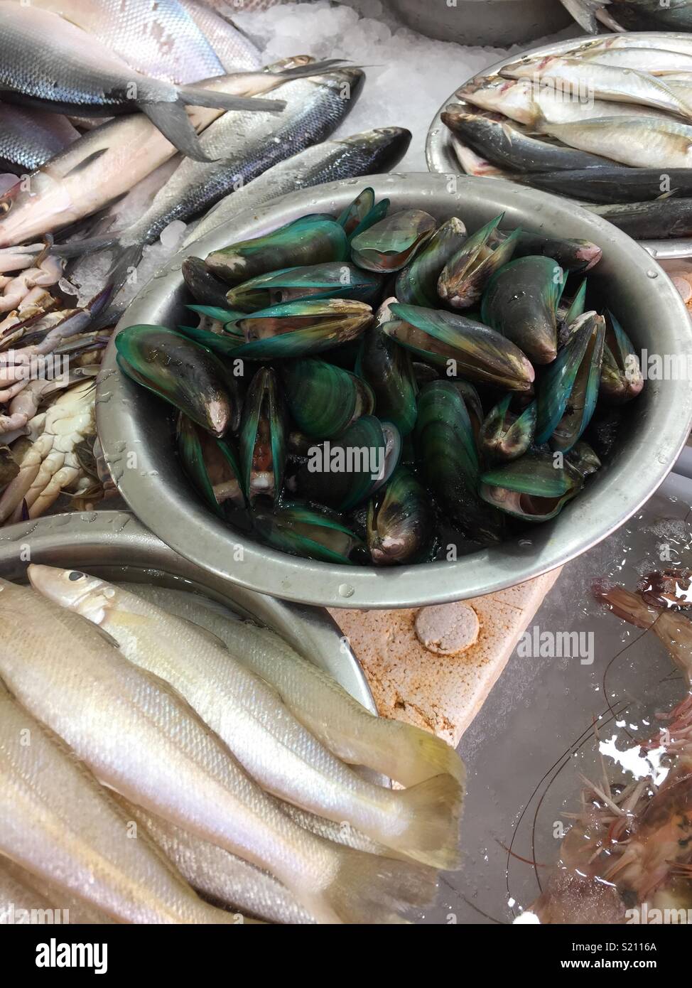 Fresh Dubai mussels Stock Photo Alamy