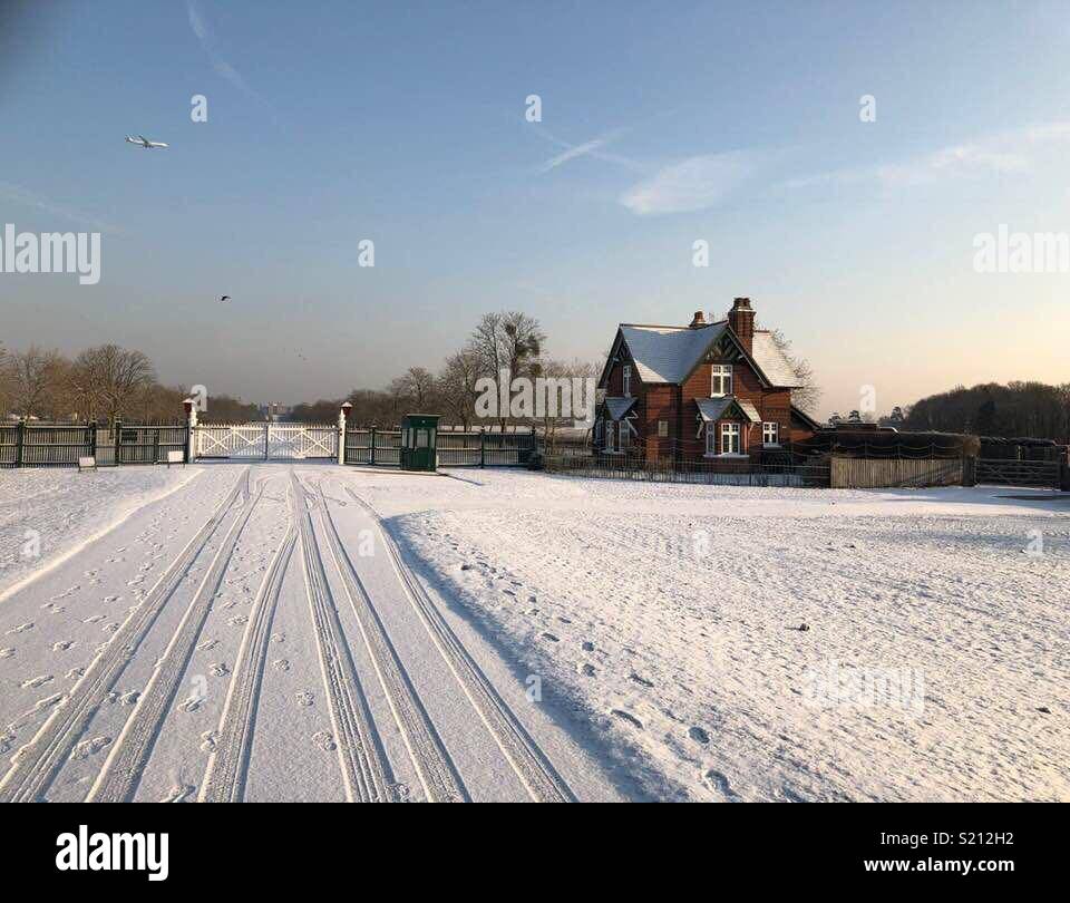 Long Walk, Windsor Great Park in the snow Stock Photo