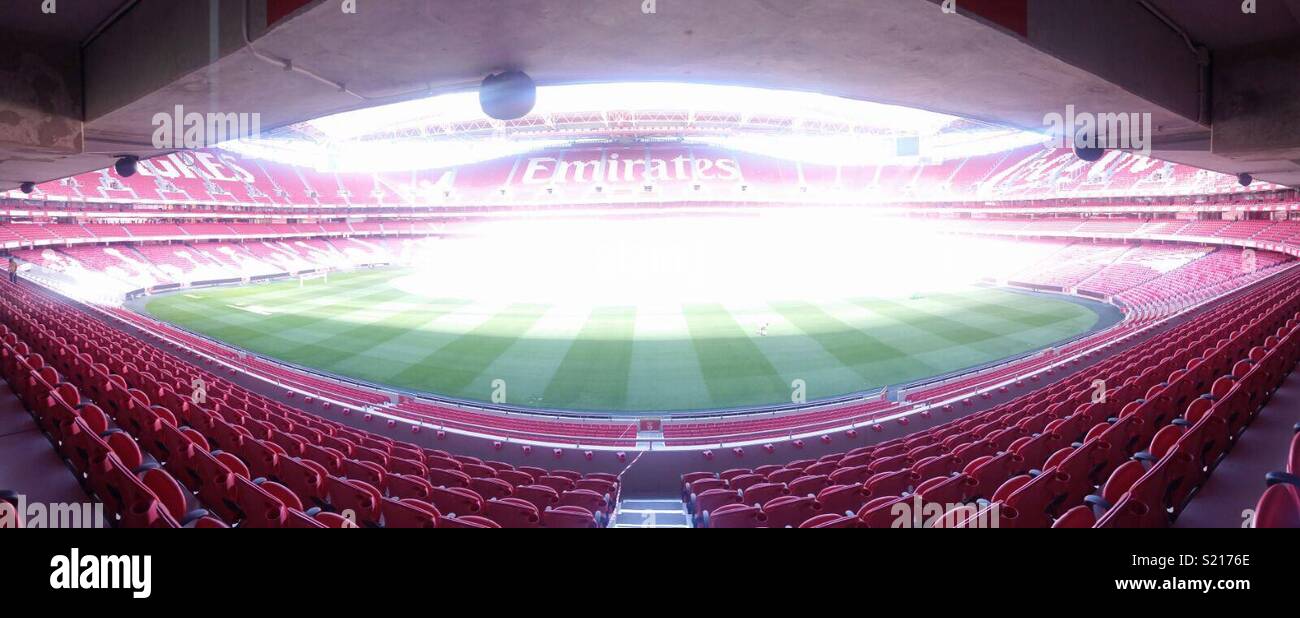 Benficas Stadium A Populous Design Thats Redefining Football - 6ufs5lv