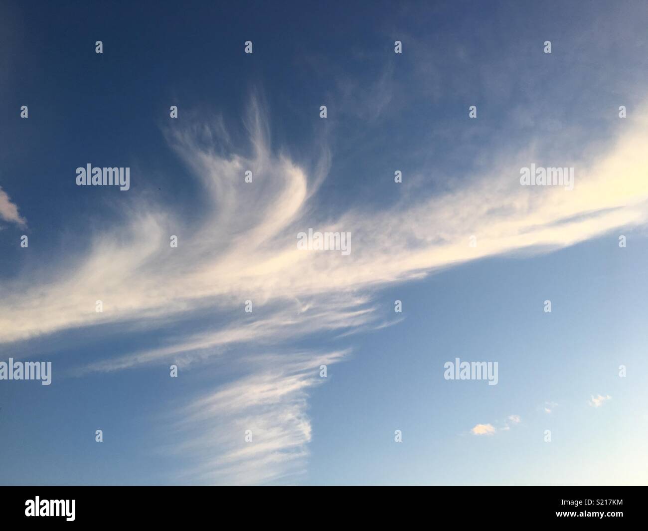 Aircraft contrail Stock Photo