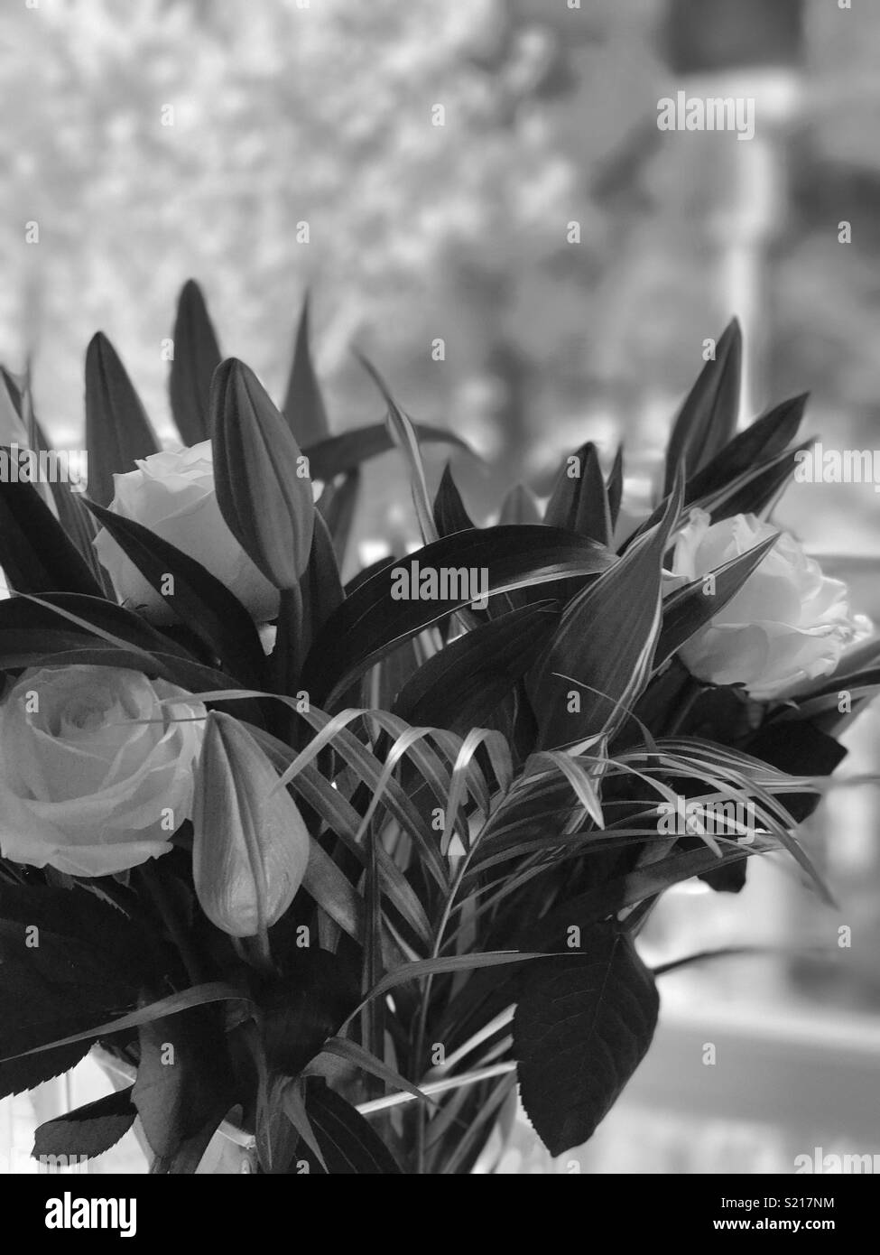 White lilies Black and White Stock Photos & Images - Alamy
