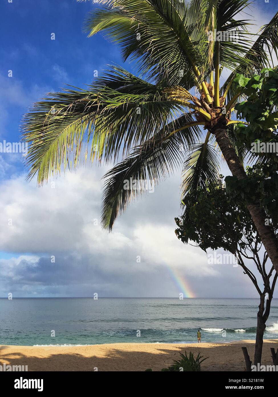 Rainbow over the ocean in Hawaii Stock Photo - Alamy