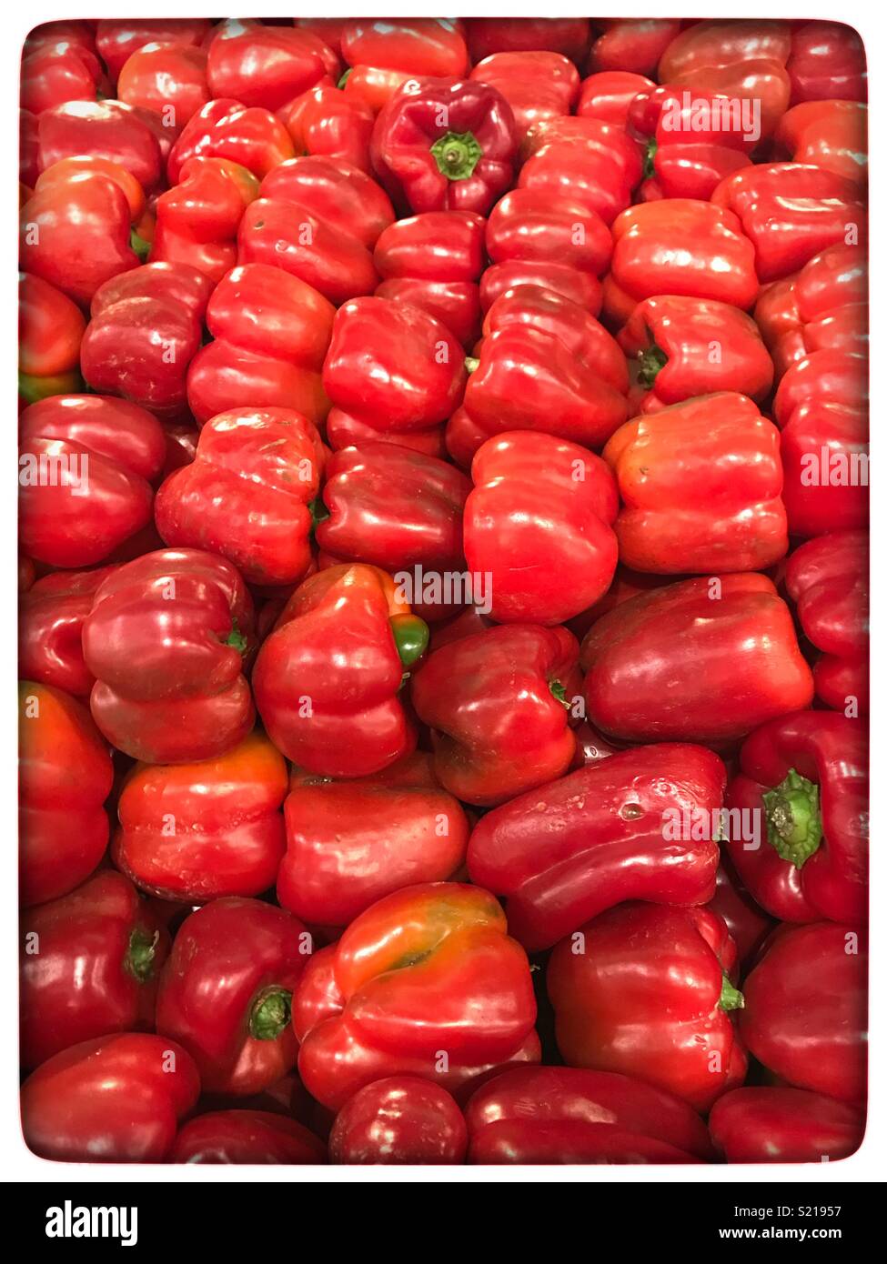Red peppers on sale in shop. - Smartphone Captured Stock Image