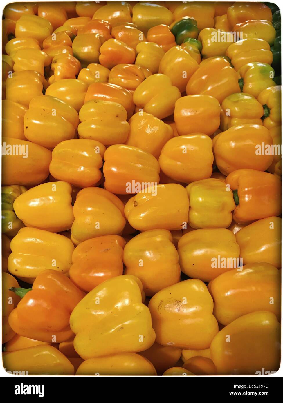 Yellow peppers on sale in shop. - Smartphone Captured Stock Image