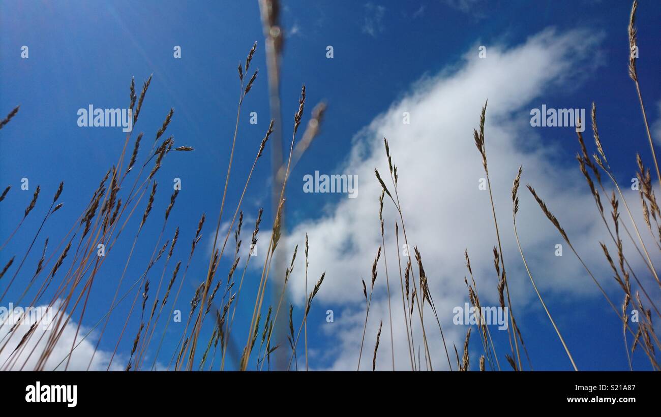 Reach For Clouds >> Reach For The Clouds Stock Photo 311045959 Alamy Reach For Clouds >> Reach For The Clouds Stock Photo 311045959 Alamy