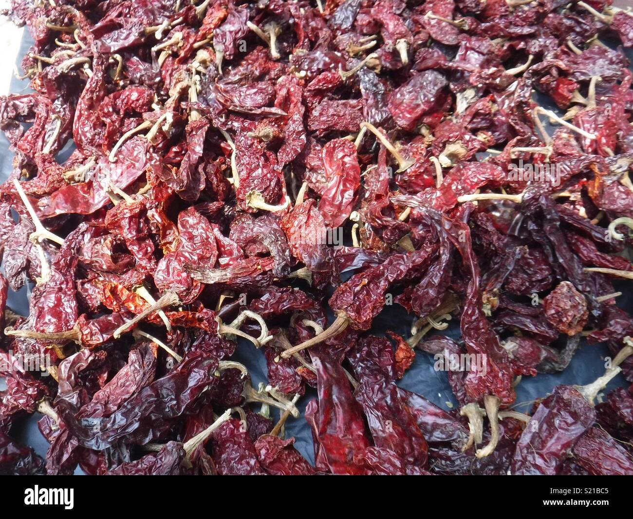 Sun dried chillies Stock Photo