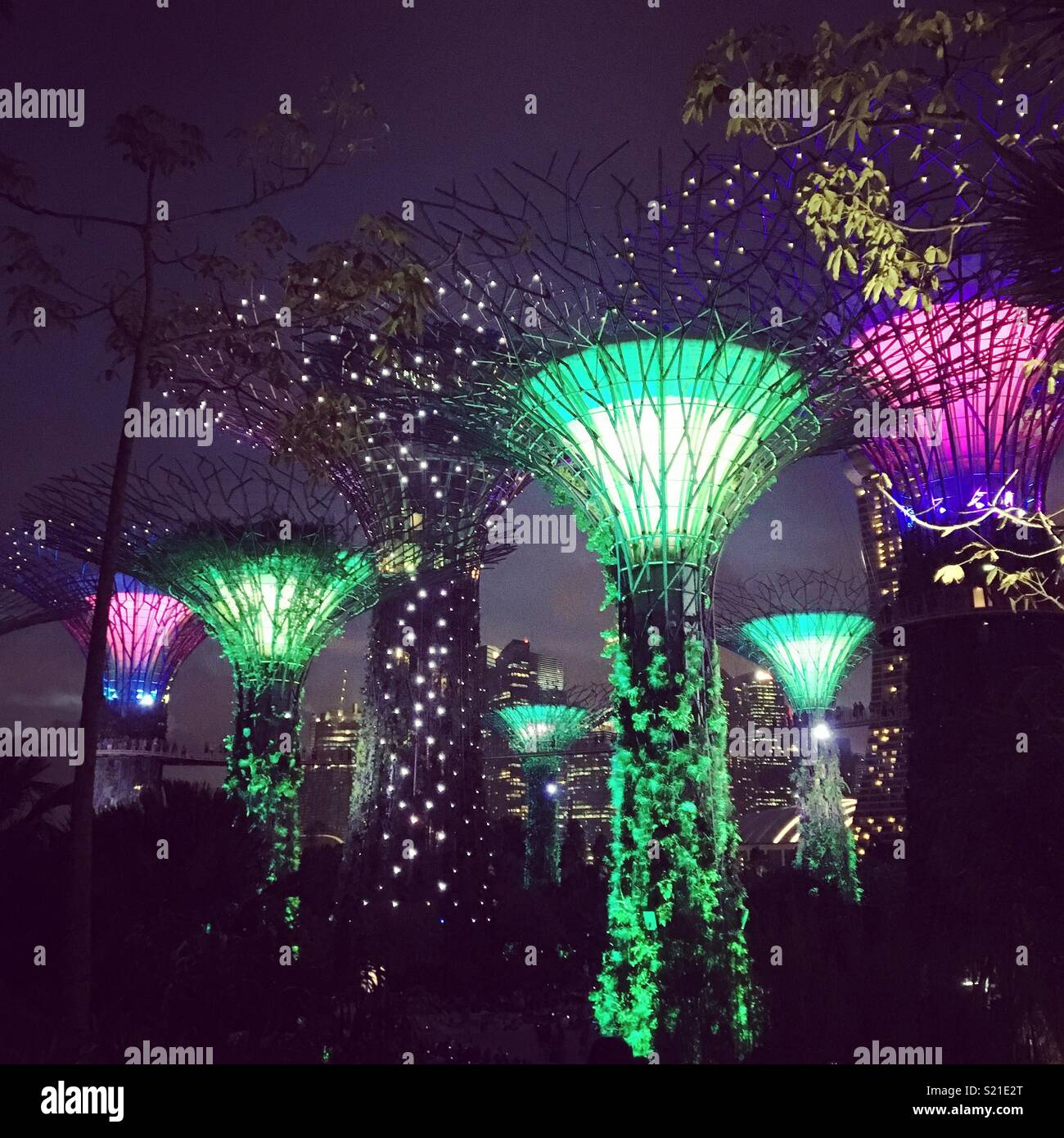 Gardens by the Bay night light show, singapore Stock Photo Alamy