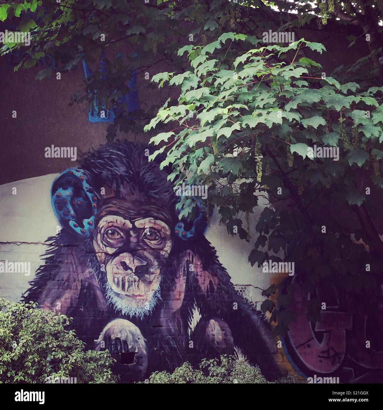Monkey graffiti hires stock photography and images Alamy
