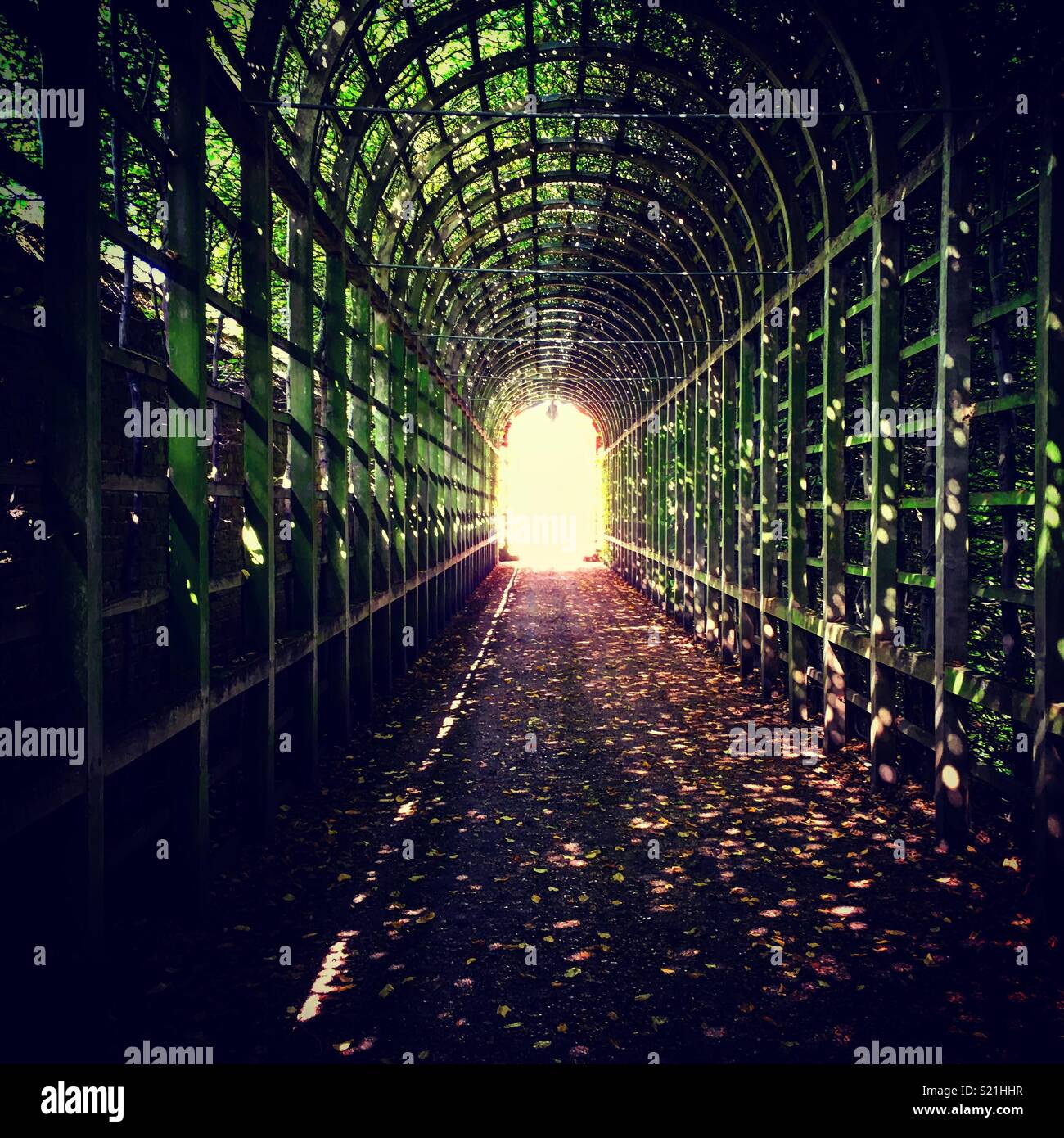 Light at the end of the tunnel Stock Photo