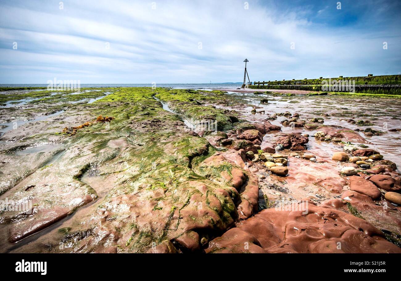Shell Exmouth Exmouth Beach High Resolution Stock Photography and Images - Alamy