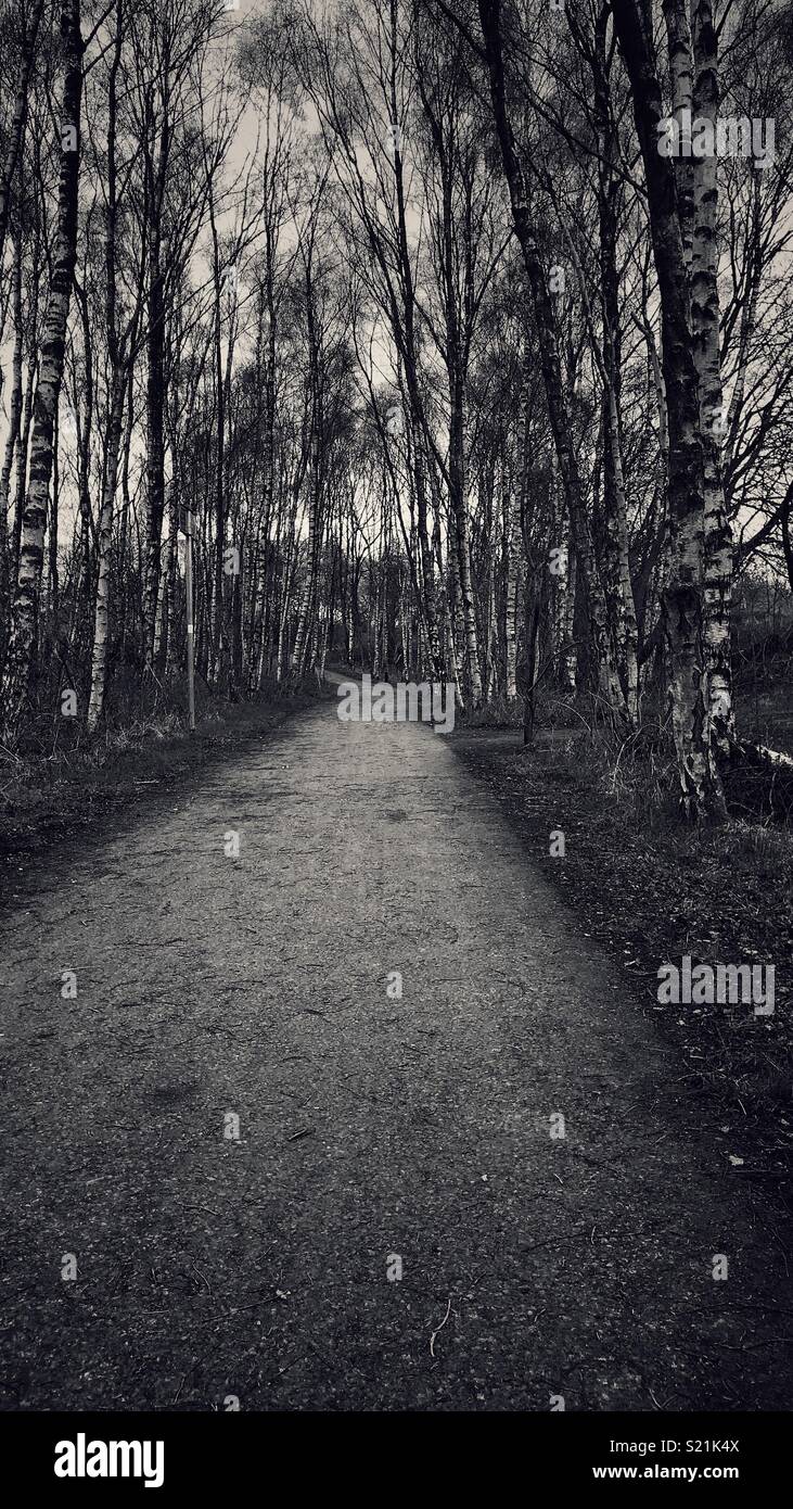 The way .. - Smartphone Captured Stock Image