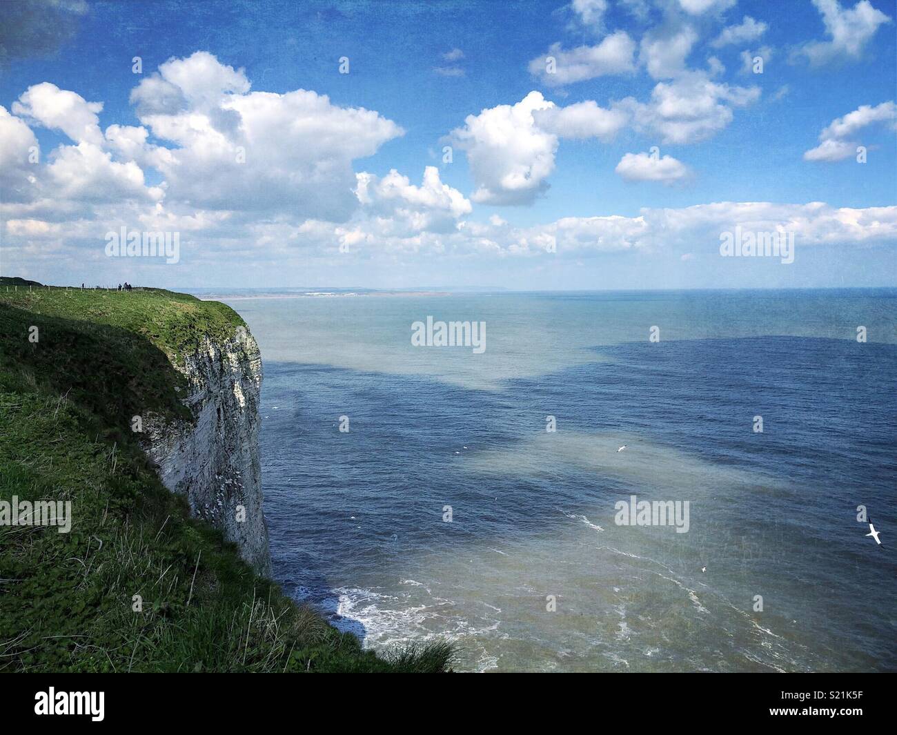 Bempton Cliffs, East Yorkshire, view to Filey on a sunny day - Smartphone Captured Stock Image