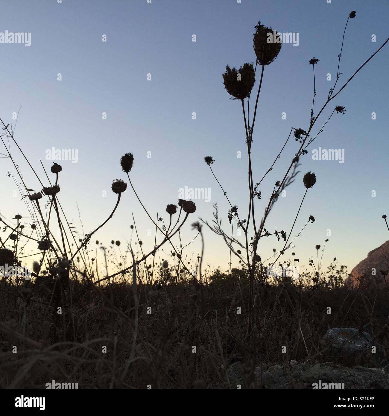 Dust on a Greek island Stock Photo Alamy