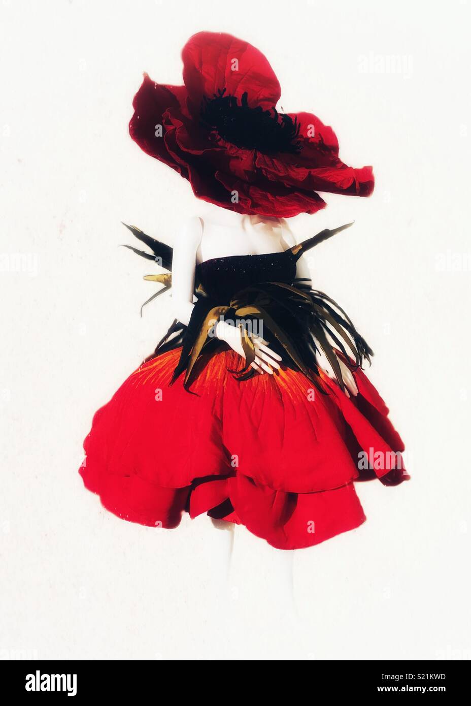 Lady in Red Stock Photo Alamy