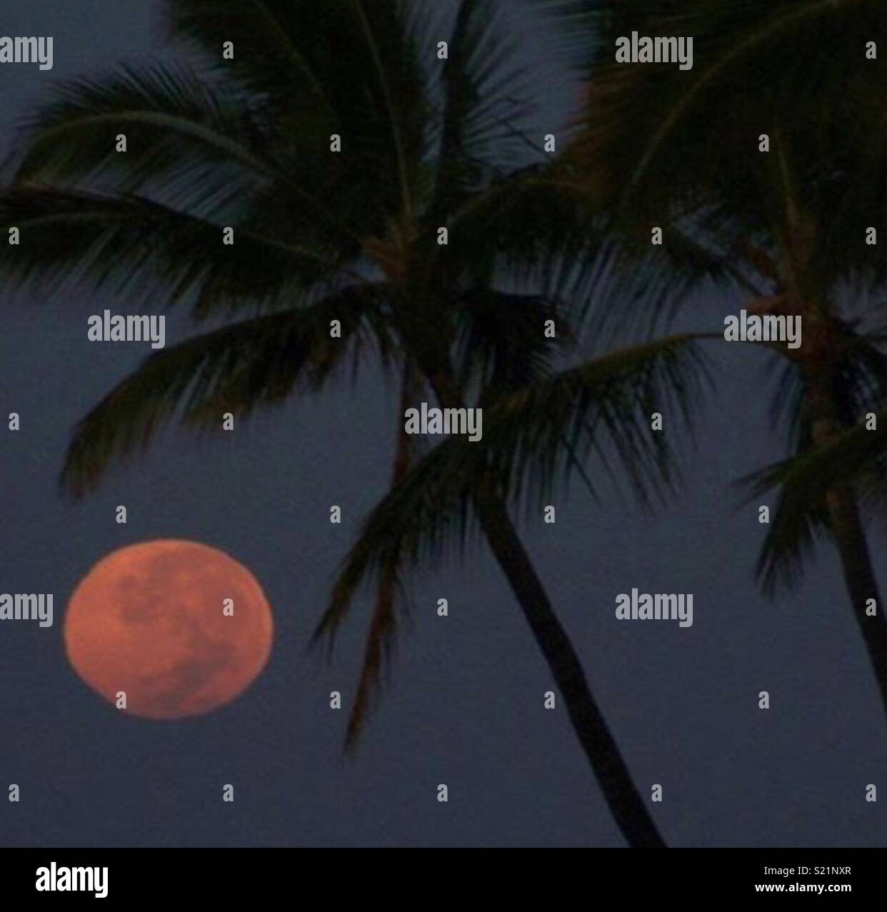 Moon over Hawaii Stock Photo Alamy