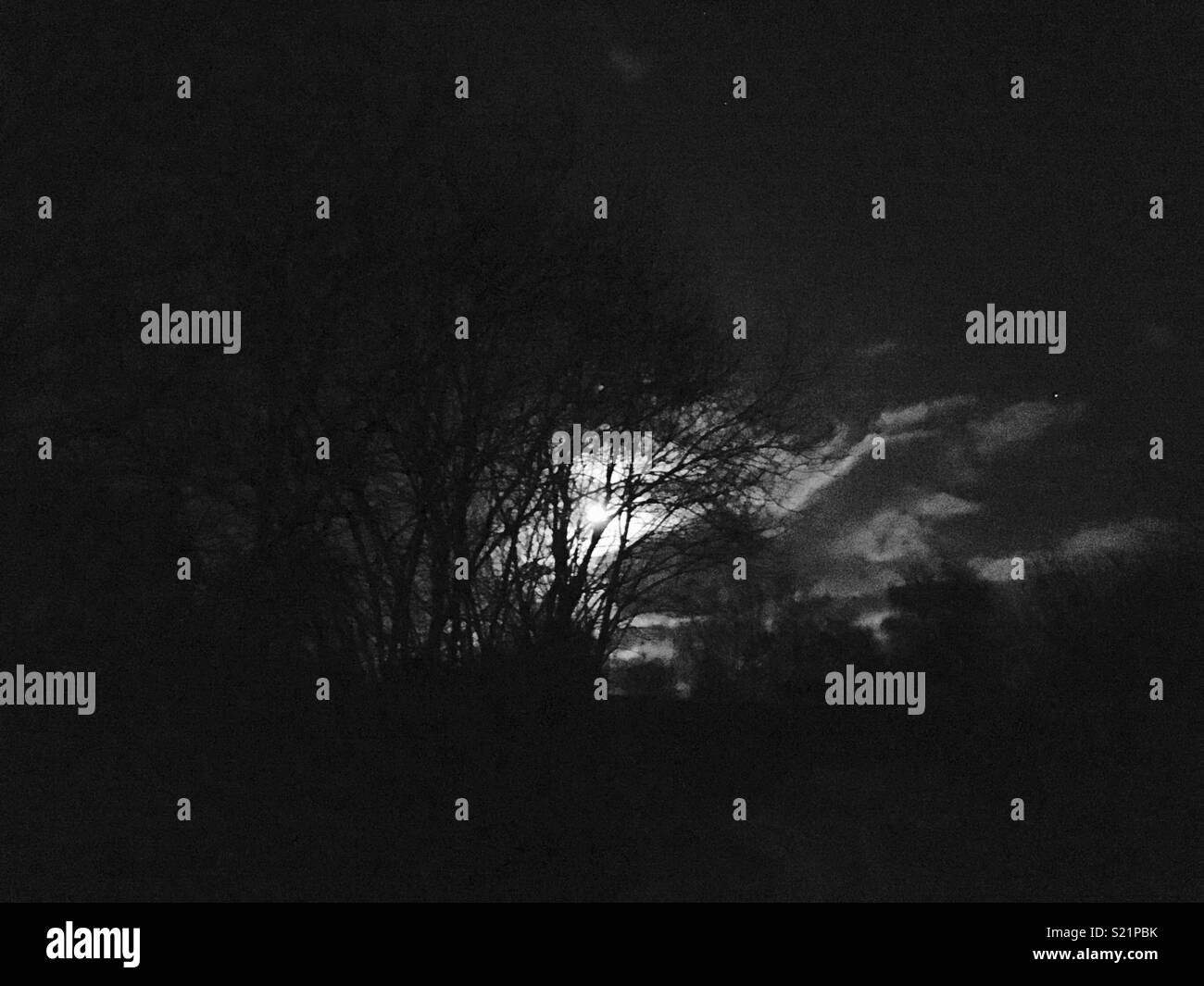 Full moon Auckland Stock Photo Alamy