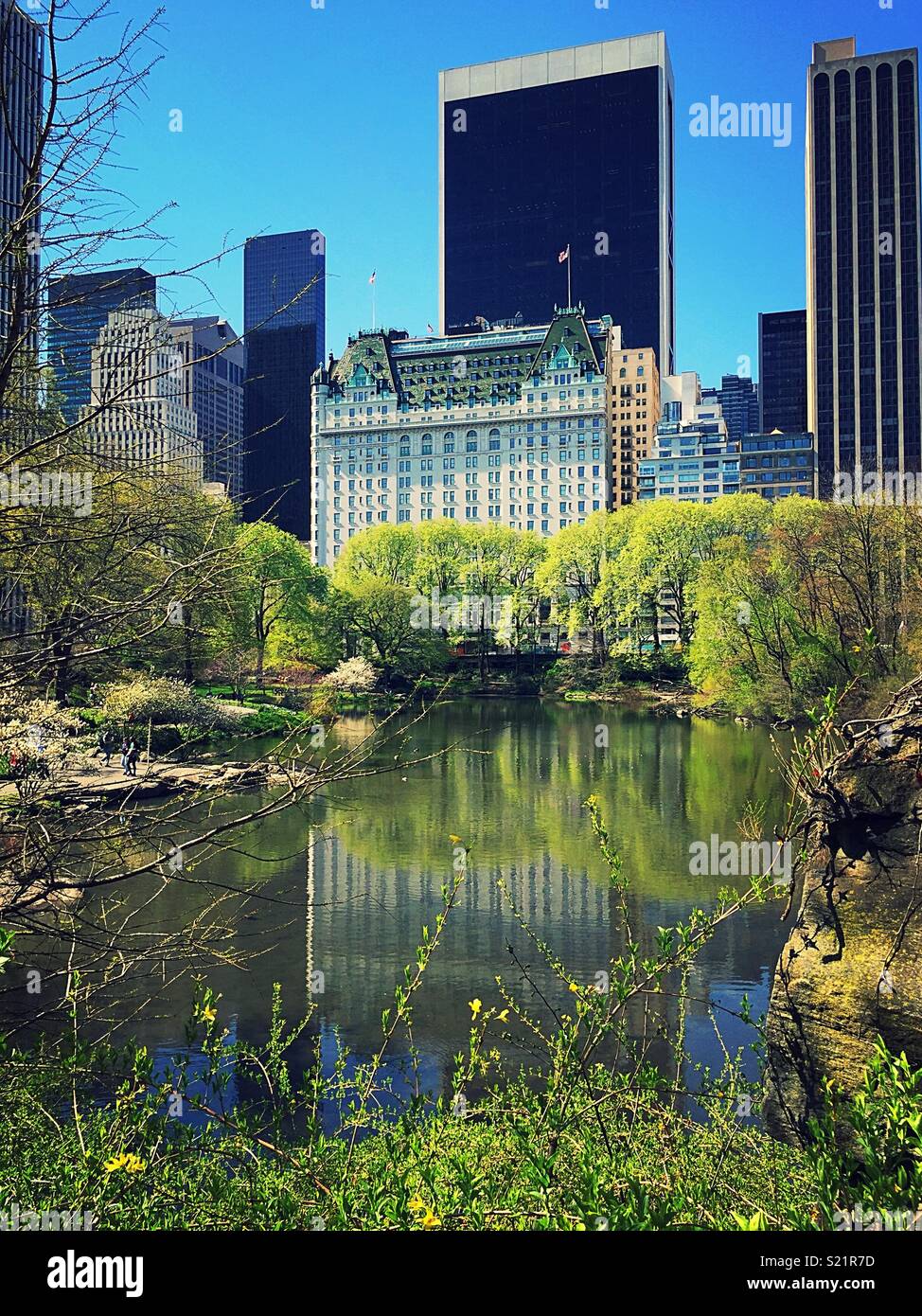 The plaza hotel and midtown skyline with the pond in central park in the foreground, NYC, USA - Smartphone Captured Stock Image