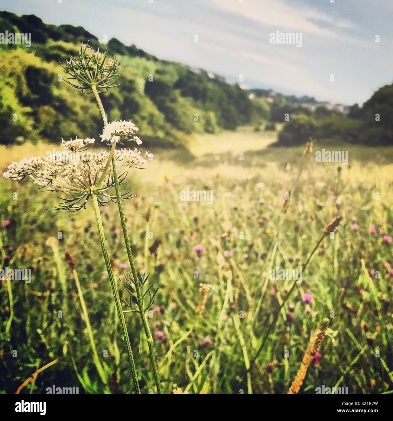 Hastings uk hires stock photography and images Alamy