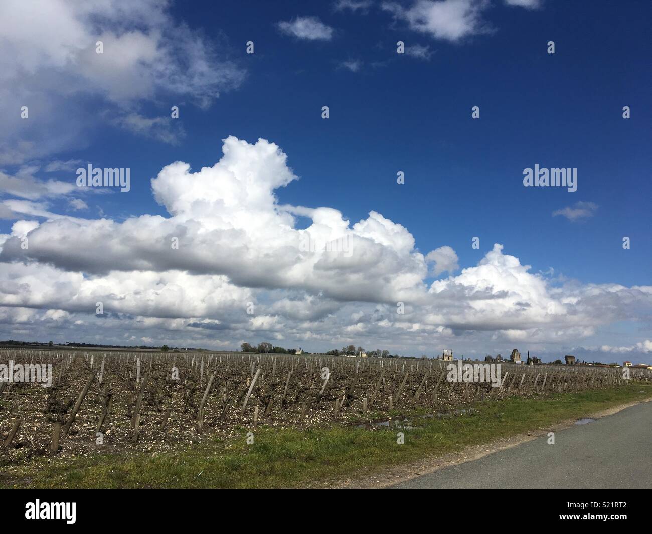Bordeaux red wine, vin yards and clouds Stock Photo