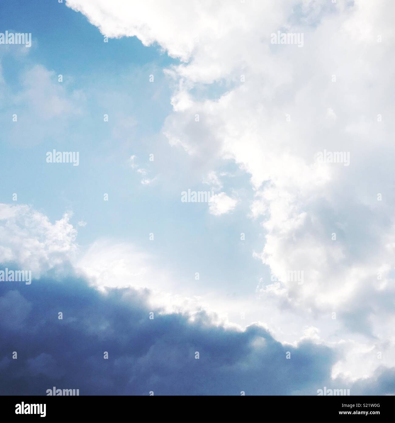 My Image 14