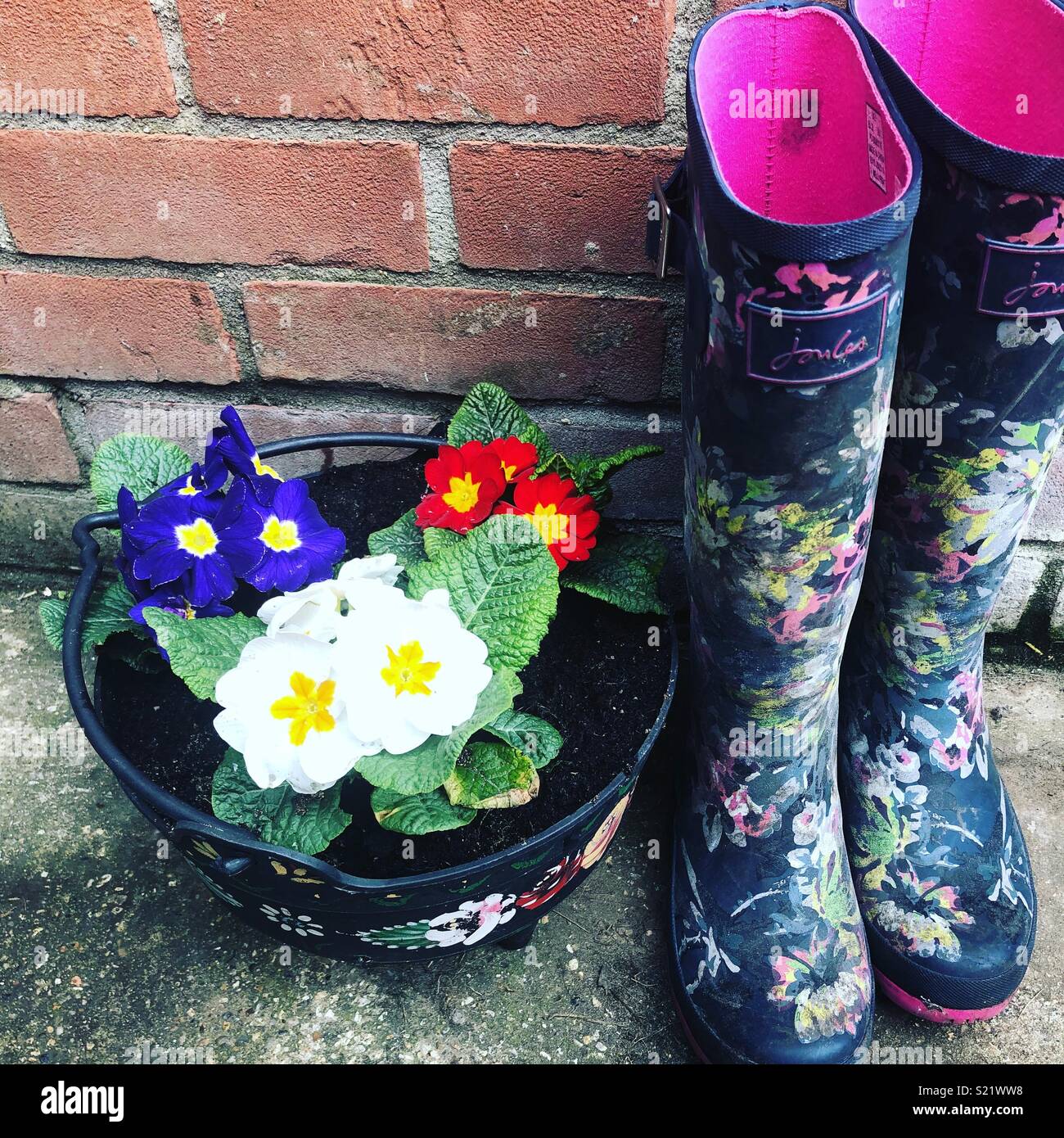 It’s a welly’s and primrose kind of day Stock Photo
