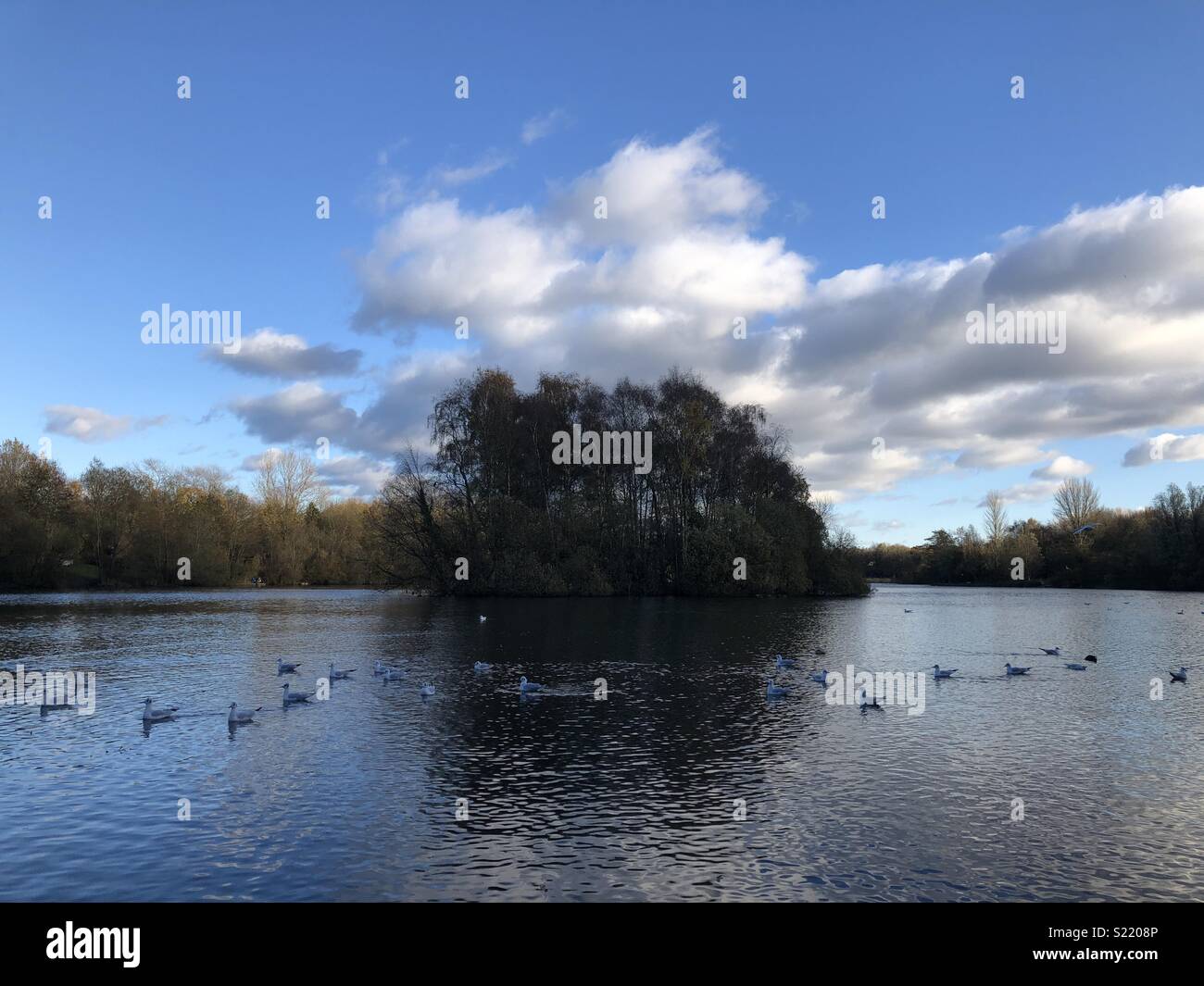Chorlton water park, Manchester, UK Stock Photo Alamy