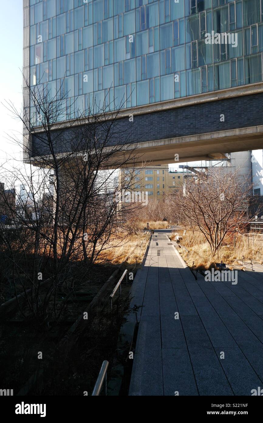 The high line new york plants hi-res stock photography and images - Alamy