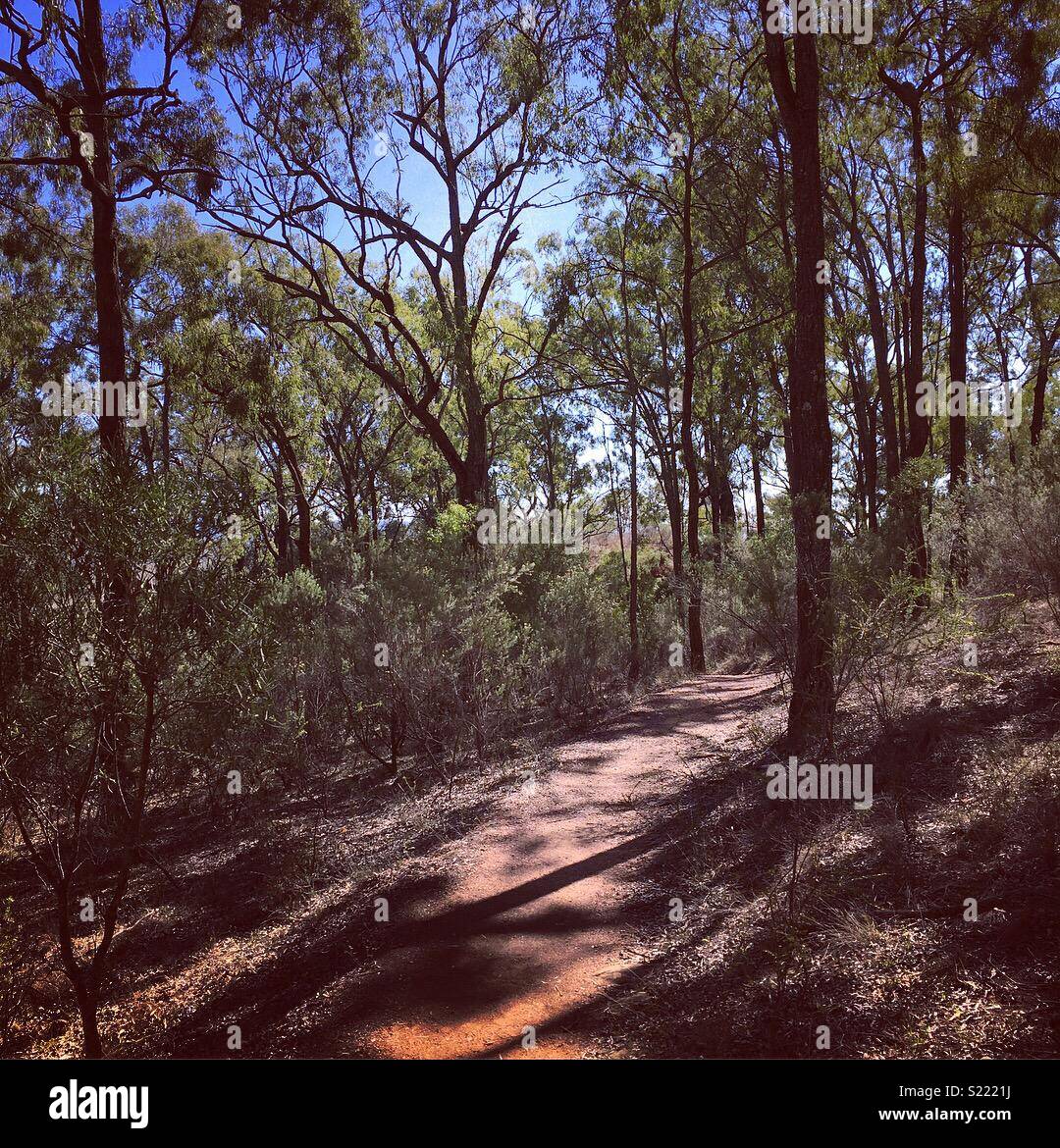 Burning Mountain - Smartphone Captured Stock Image