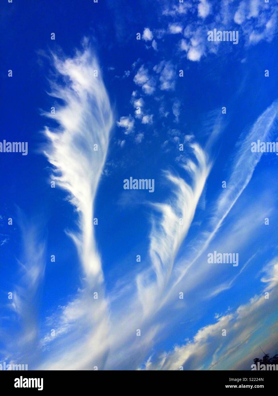 Heavenly clouds Stock Photo Alamy
