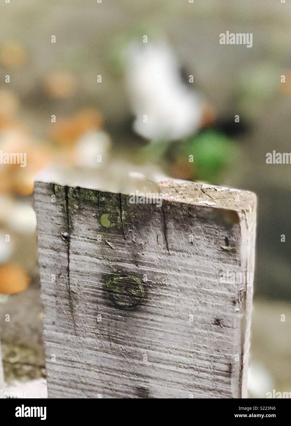 Daytime wood post hi-res stock photography and images - Alamy