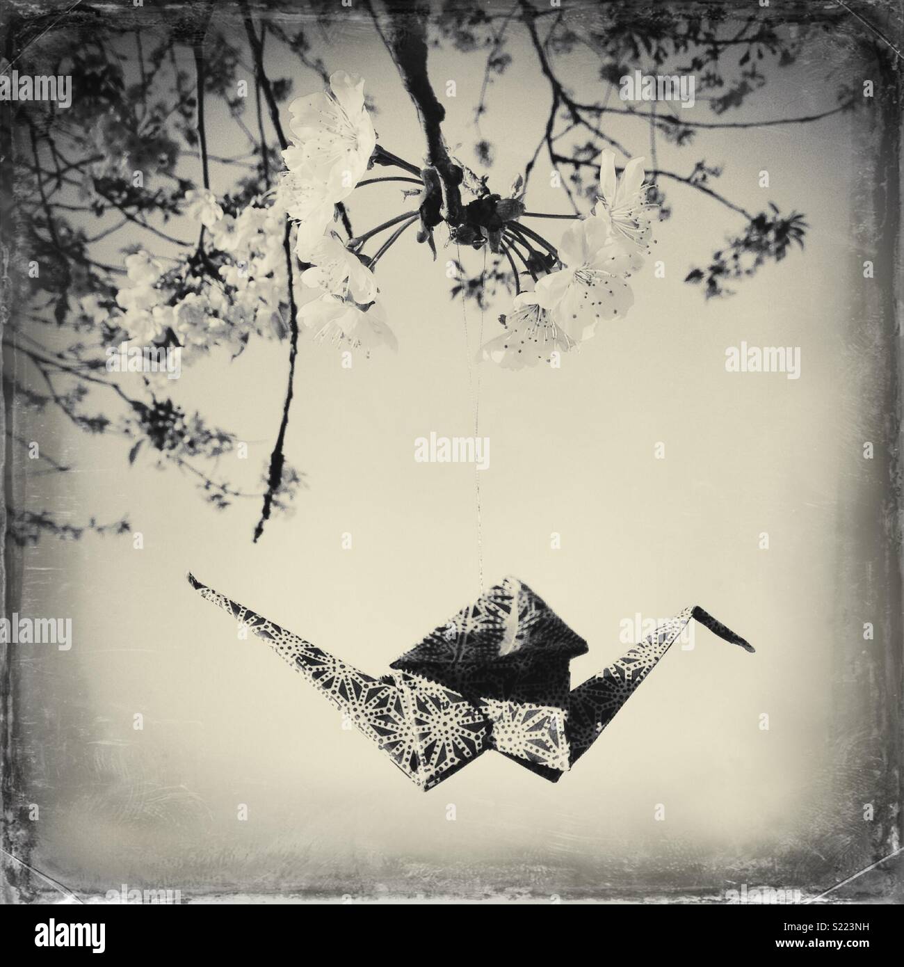 A paper origami bird hanging from s blossoming tree in spring - Smartphone Captured Stock Image