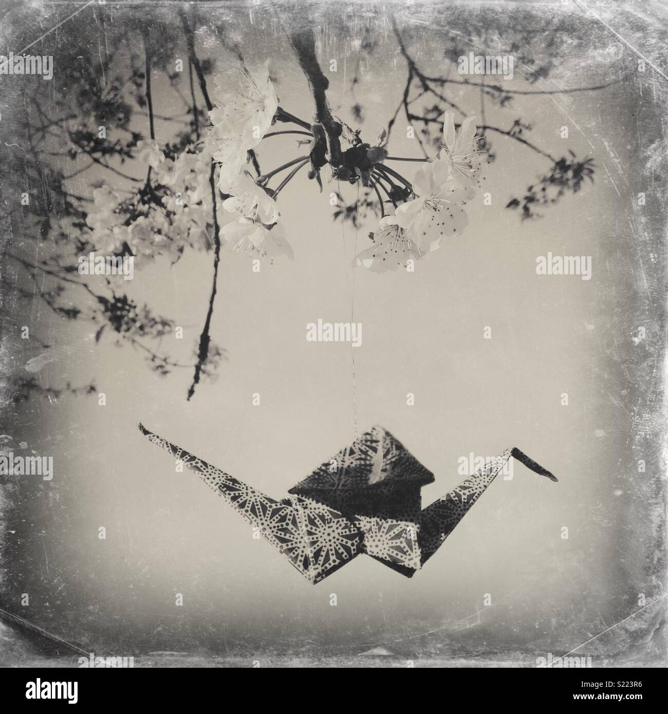 A paper origami bird hanging from a blossoming tree in spring - Smartphone Captured Stock Image