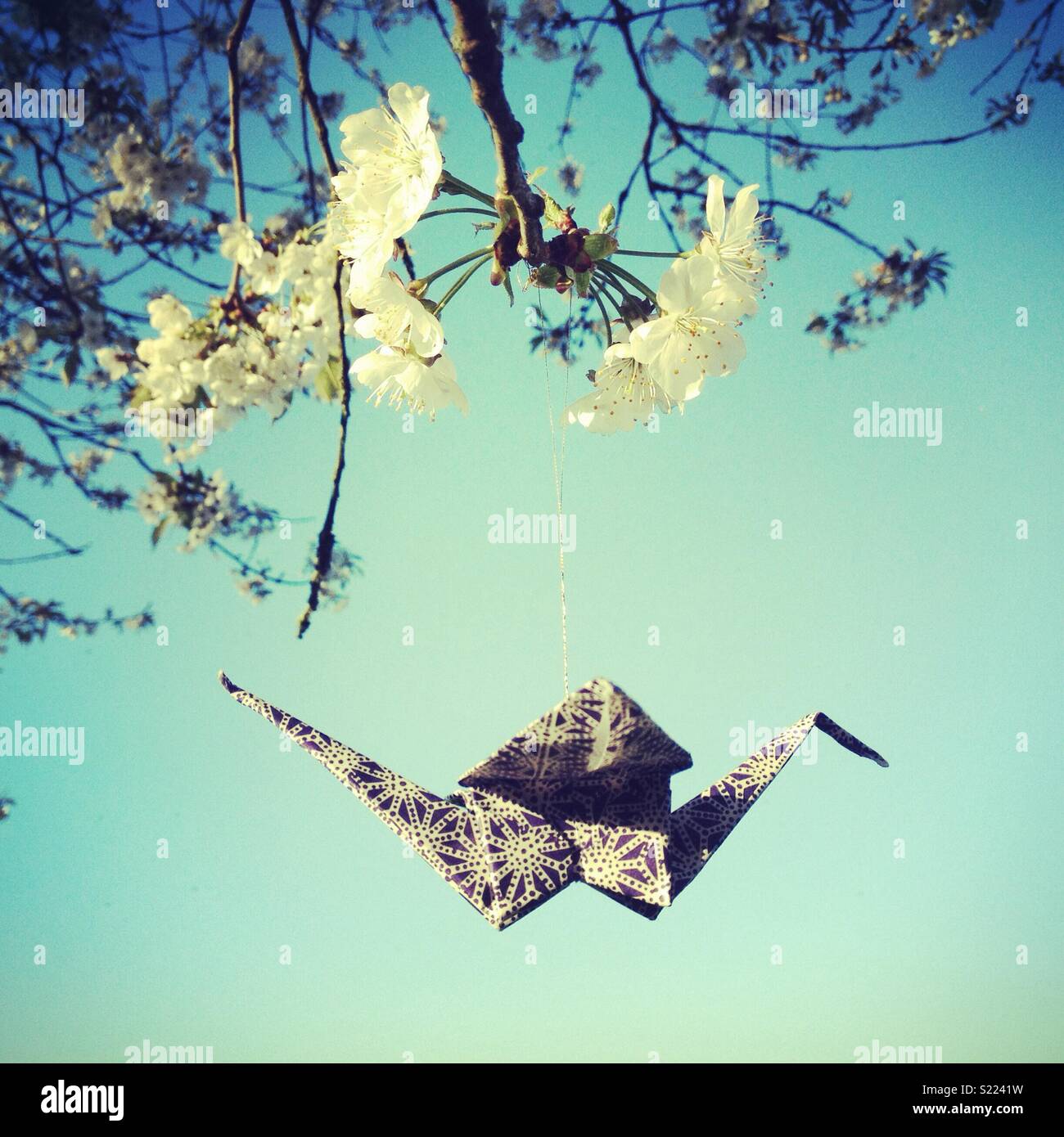 A paper origami bird hanging from a blossoming tree in spring - Smartphone Captured Stock Image