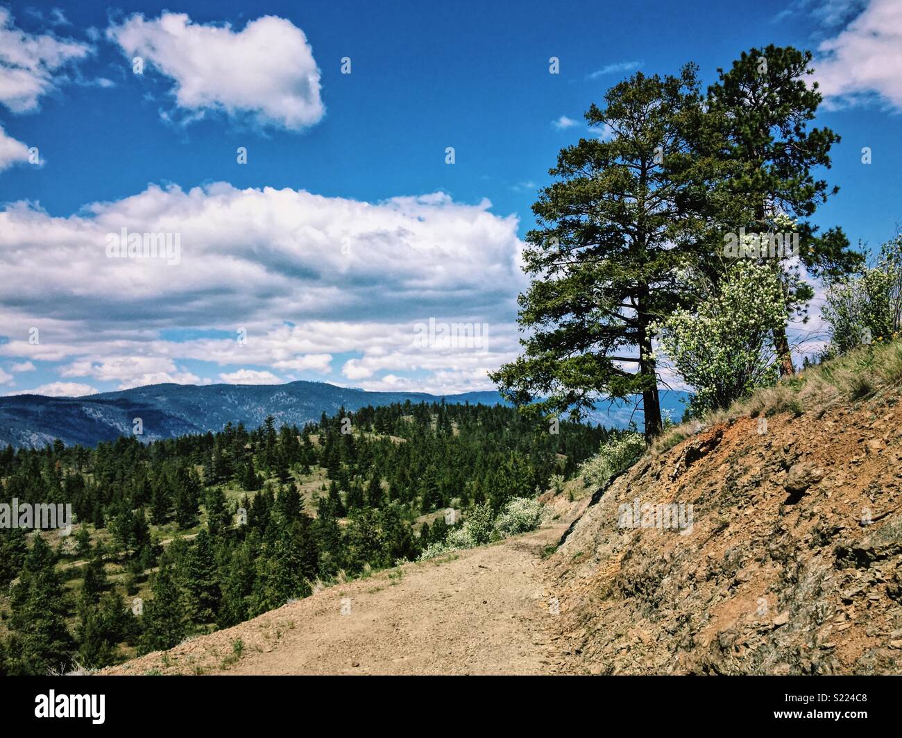 Bright sunny spring day in the Okanagan Valley under a blue sky. A hiking trail leads away with tree covered mountains in the distance. Stock Photo