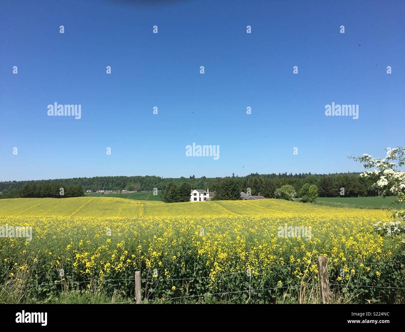Nice view on a lovely sunny day in the country Stock Photo