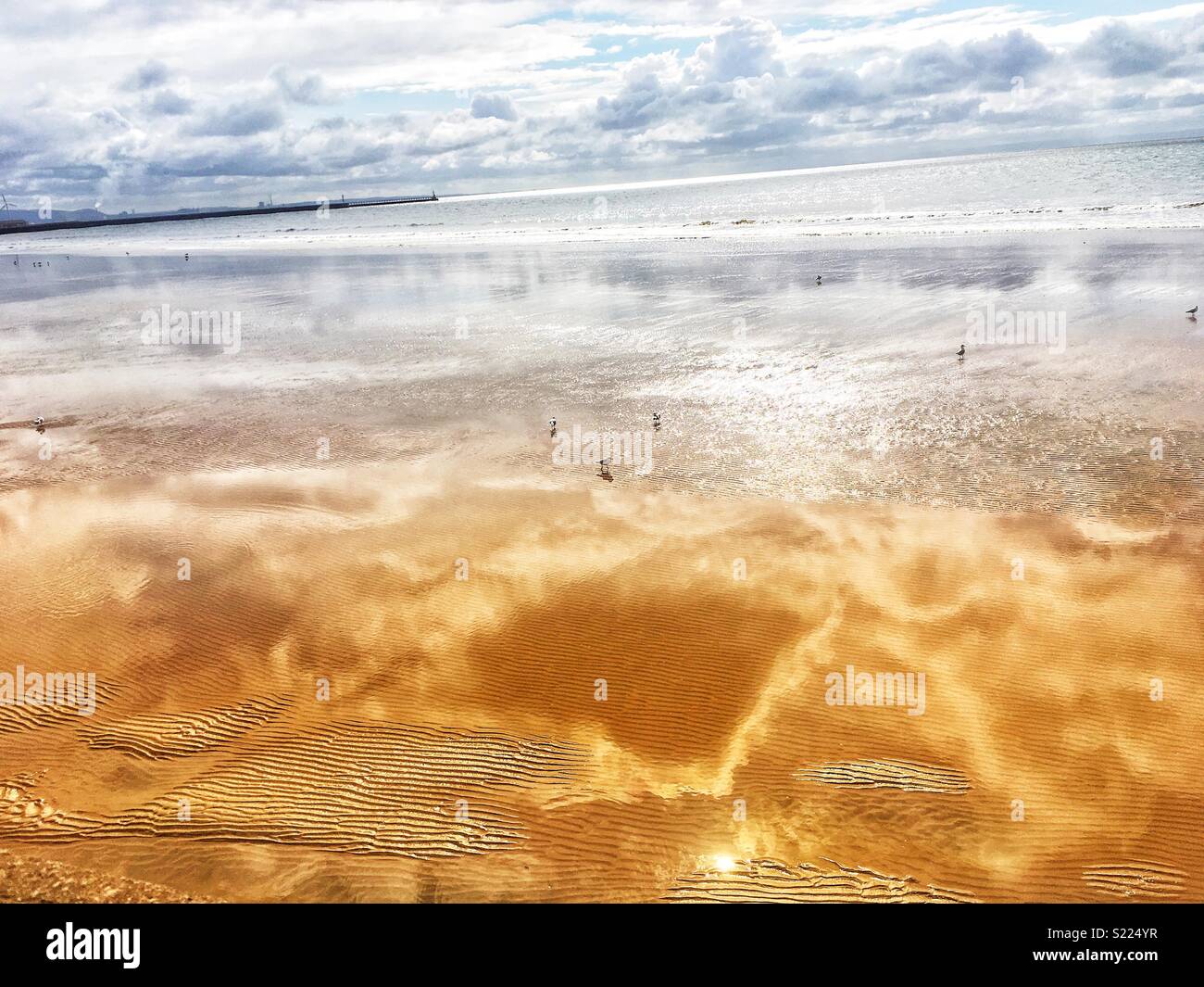 Swansea beach, sand water and sky merge into one. Morning Glow on beach
