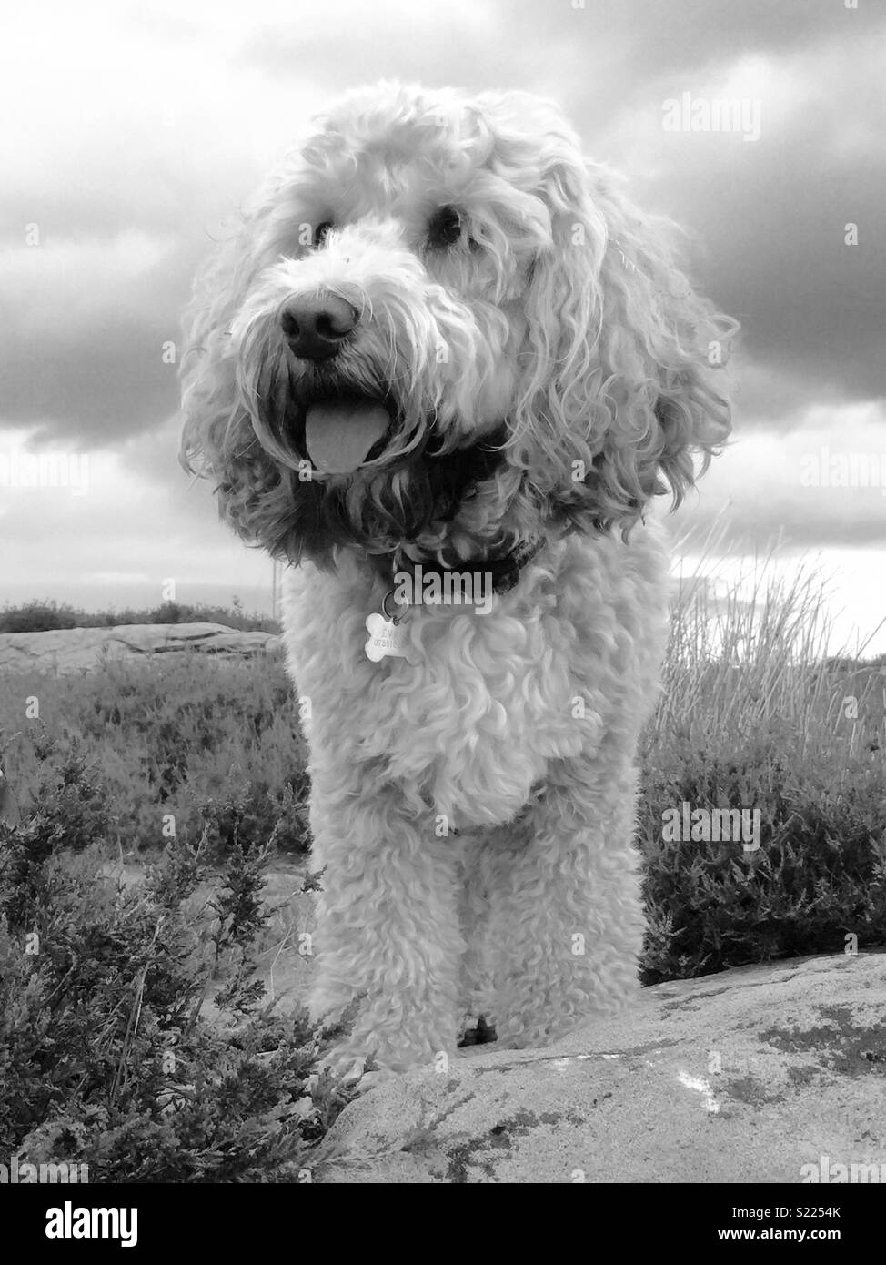 Northumbrian walks hi-res stock photography and images - Alamy