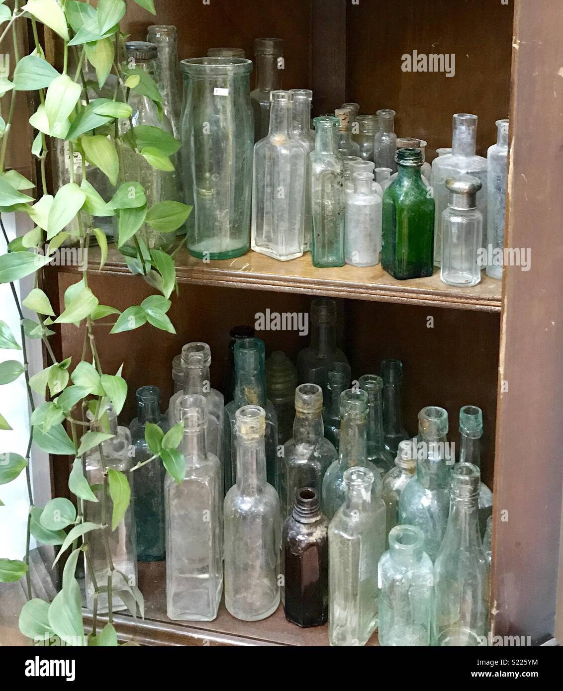 Old bottles Stock Photo