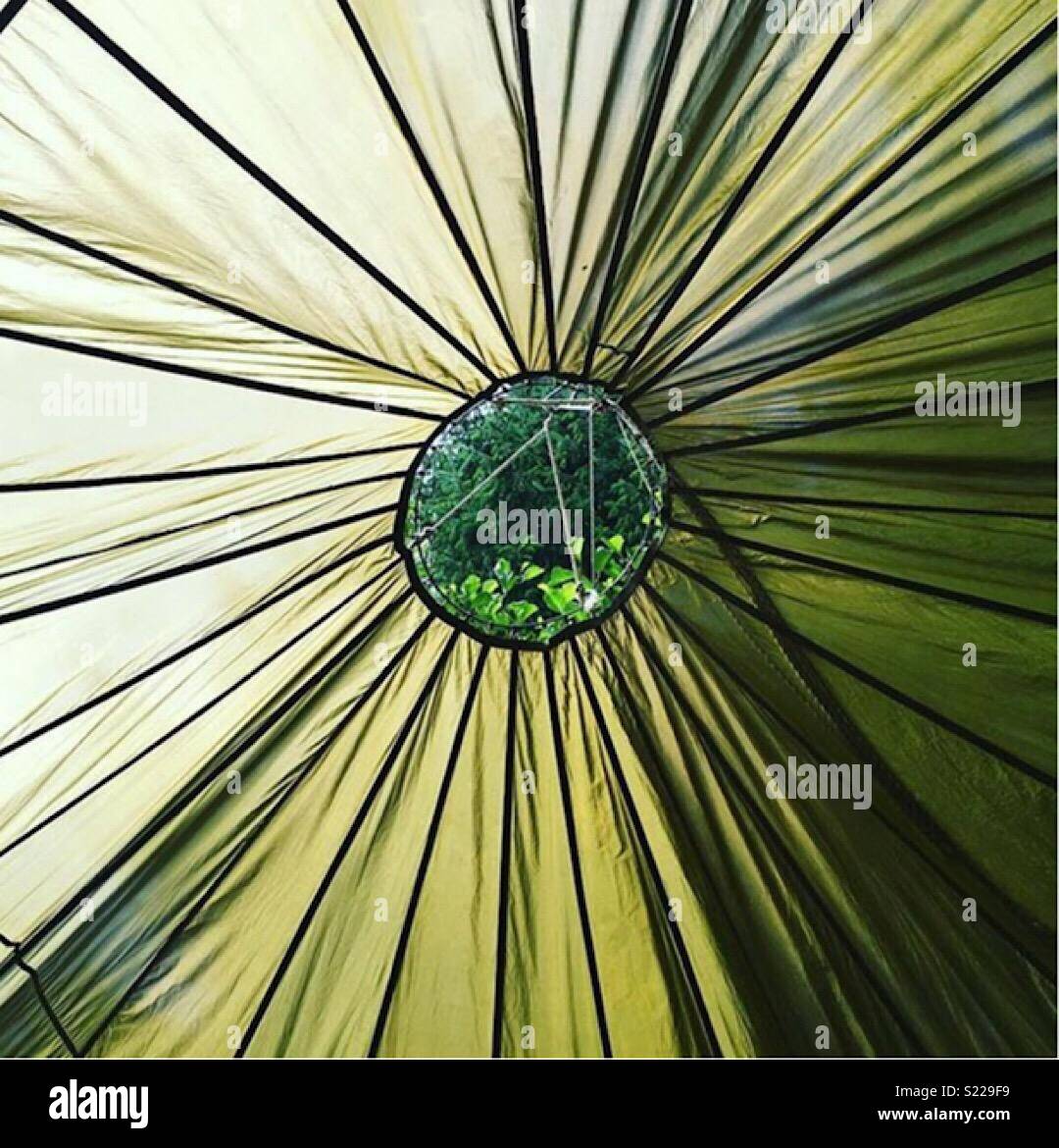 Canopy tent hi-res stock photography and images - Alamy