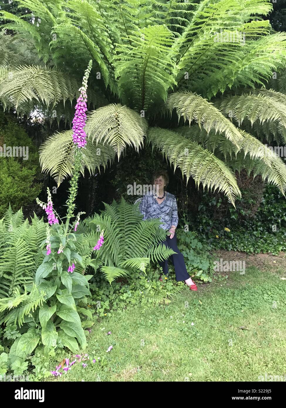 Lady woman sitting under palm tree in English country garden with flowers framing the scene in East Sussex rotherfield garden Stock Photo