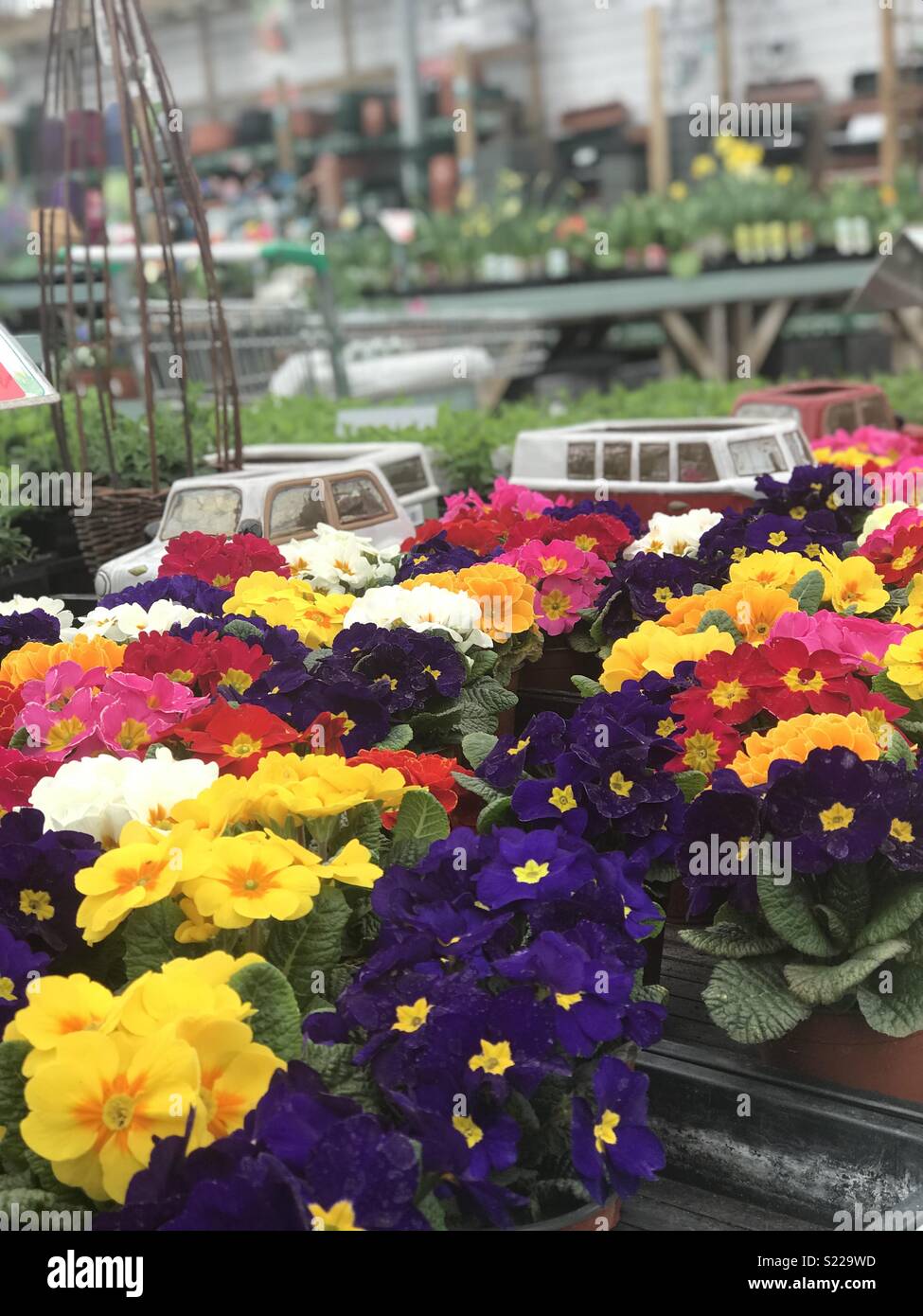 That summer feeling hi-res stock photography and images - Alamy