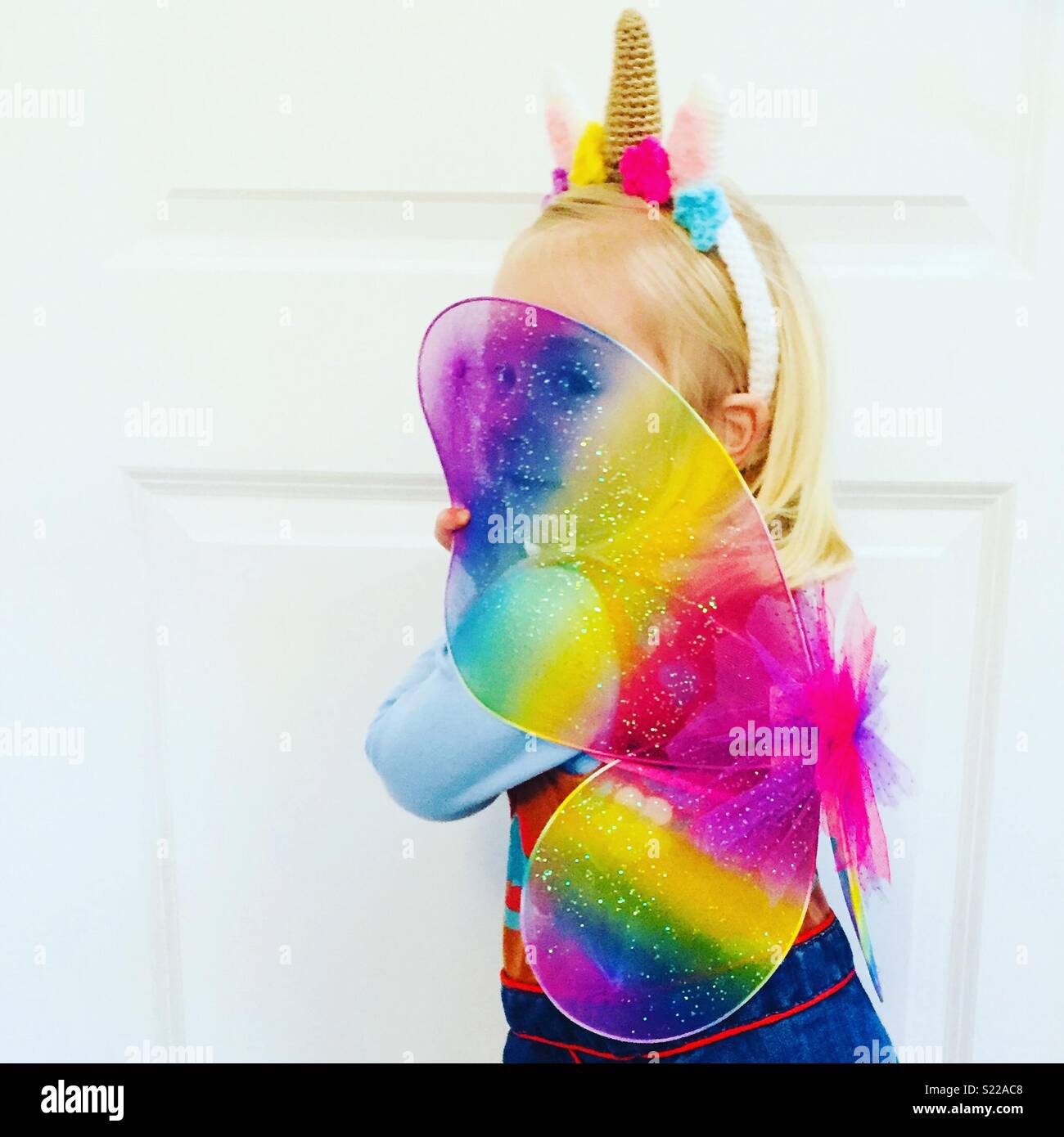 Rainbow Fairy Unicorn Stock Photo