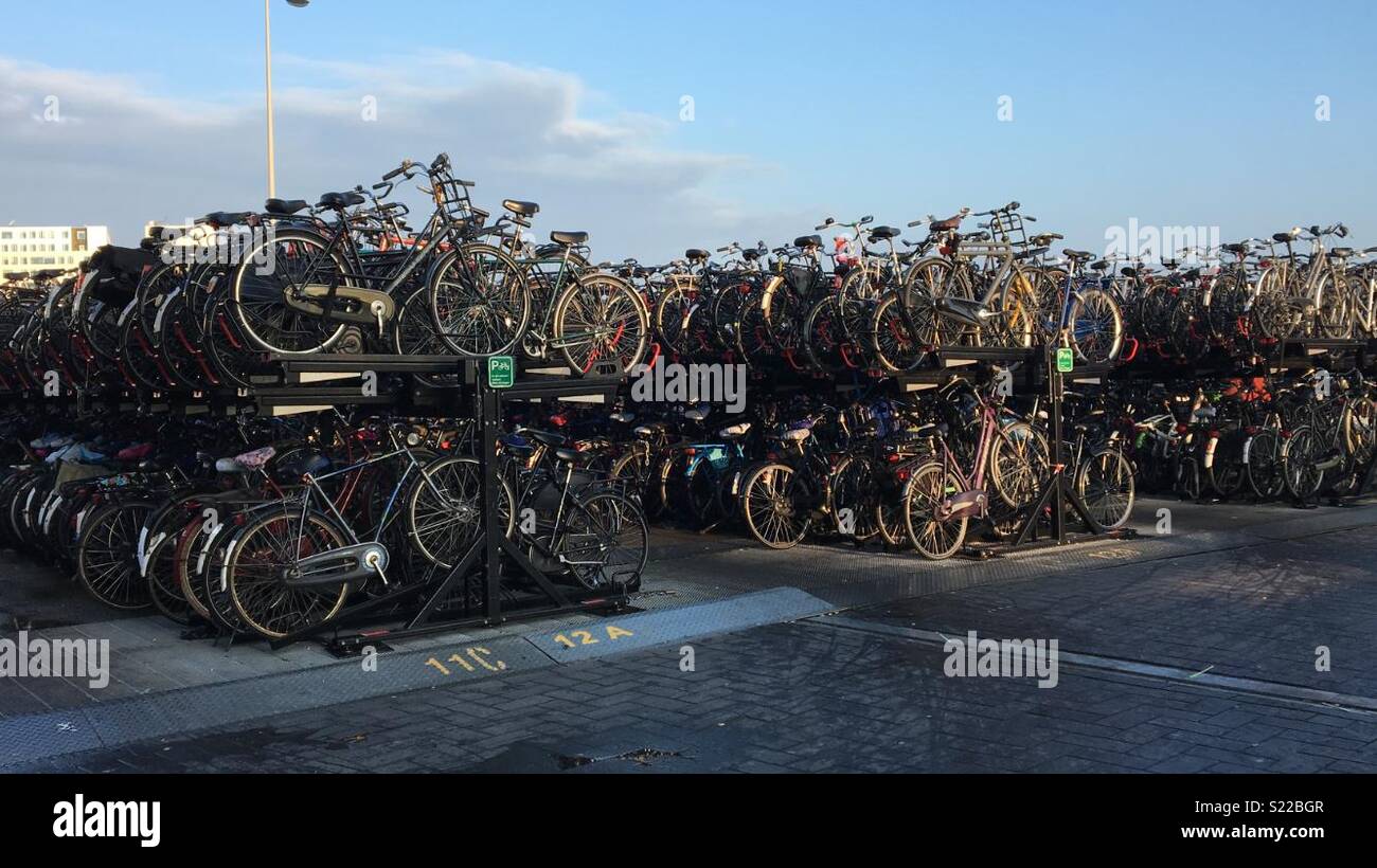 Bikes In Amsterdam Stock Photo Alamy