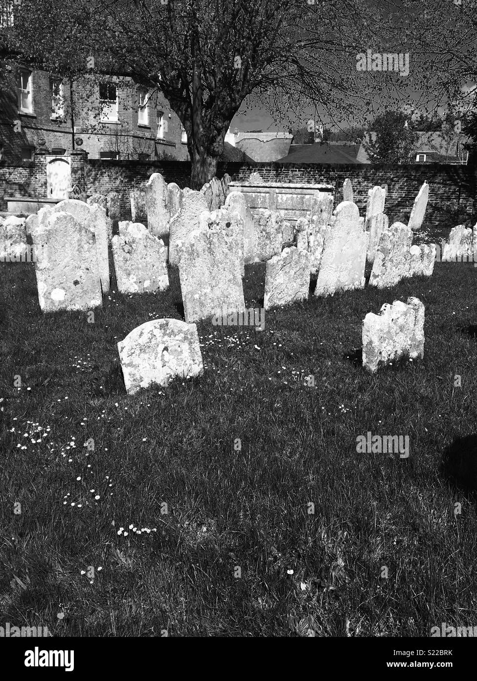 Graveyard Black and White Stock Photos & Images Alamy